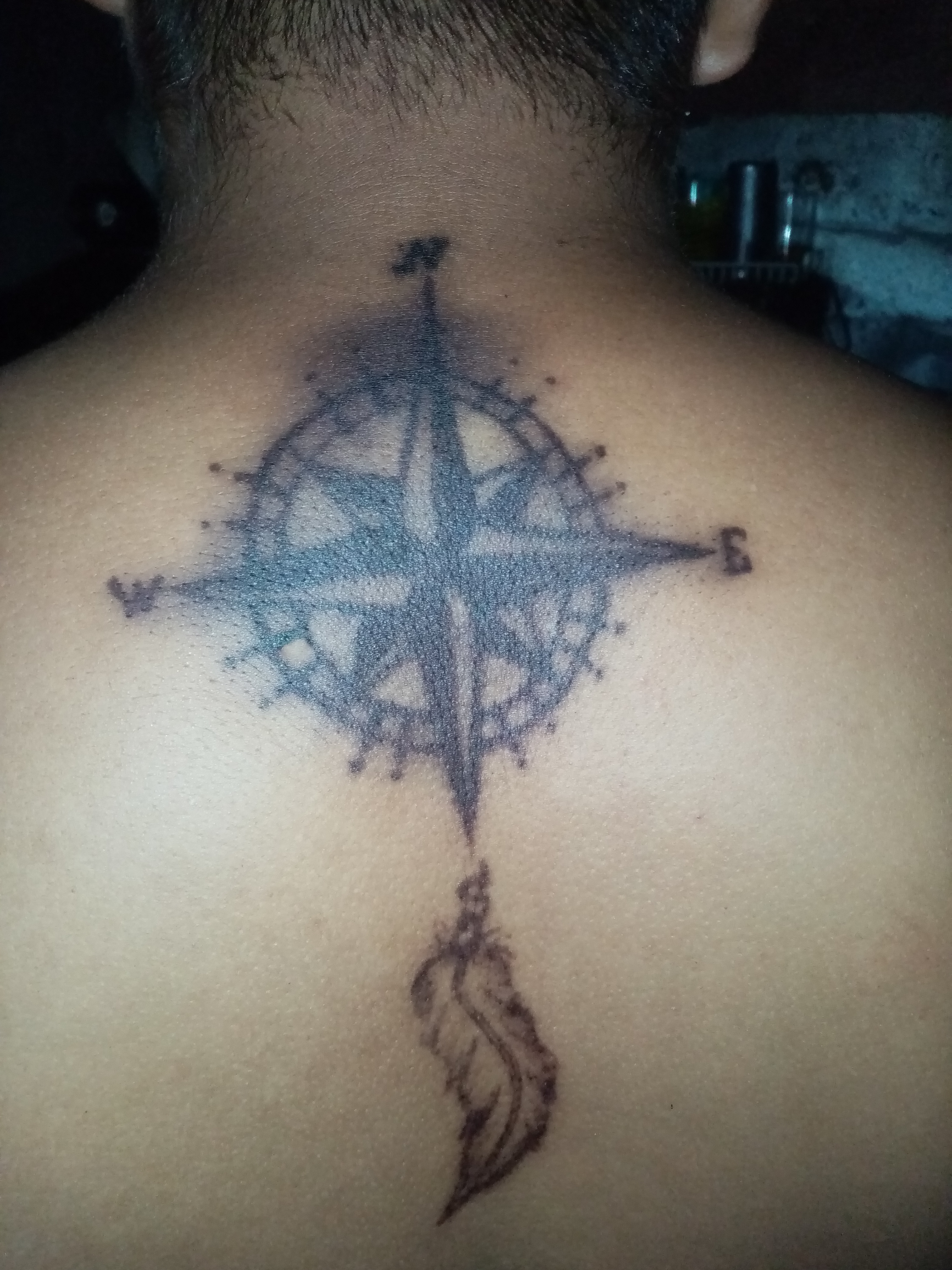 I'm new here but I have a question I have a Norse tattoo on my back  shoulder of a Norse compass,and I'm thinking of adding either skoll and  hati to it or
