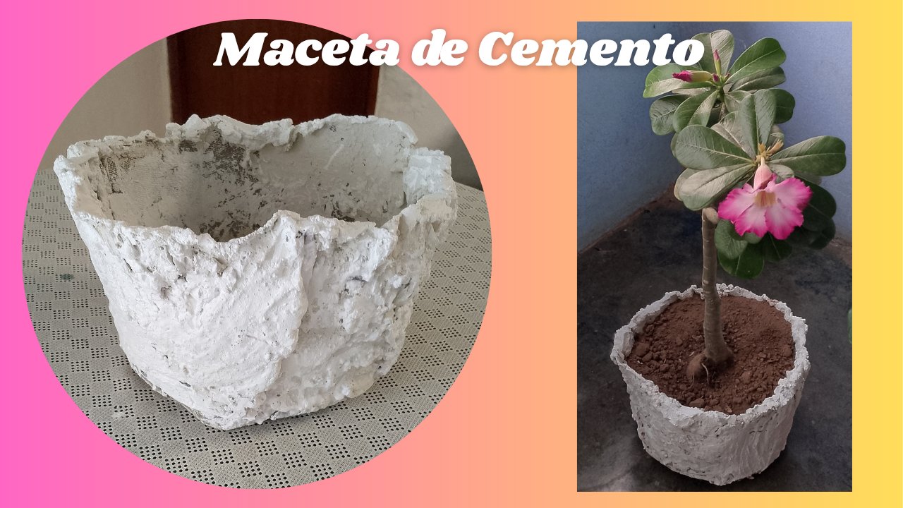 Maceta de Cemento| Cement Planter