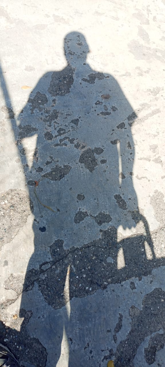 Daily Relationship of Community Posts and the Value of Hueso and Viphueso Tokens