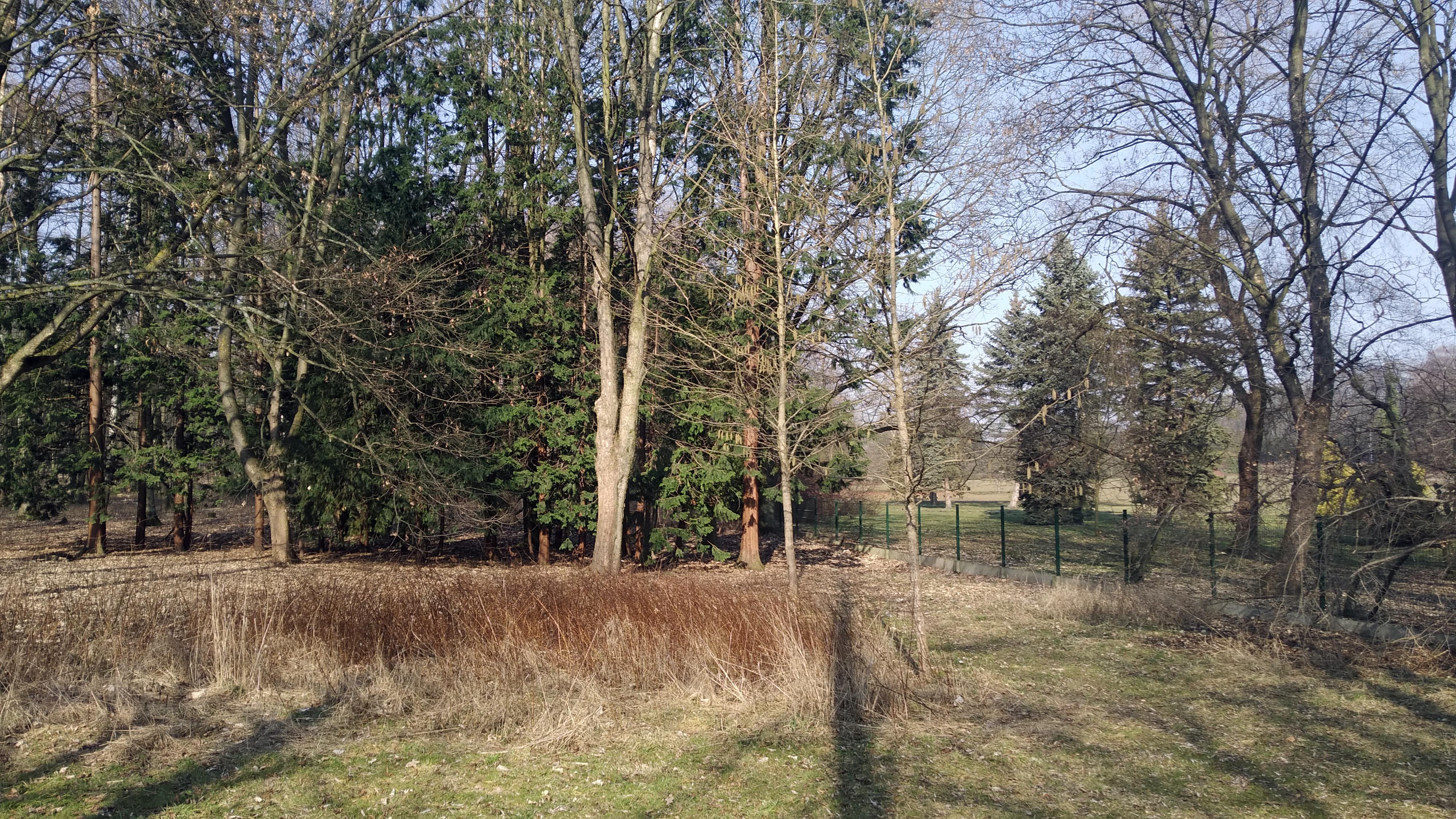 Wiosna nie odpuszcza, słonecznie i ciepło - My Actifit Report Card: March 5 2026