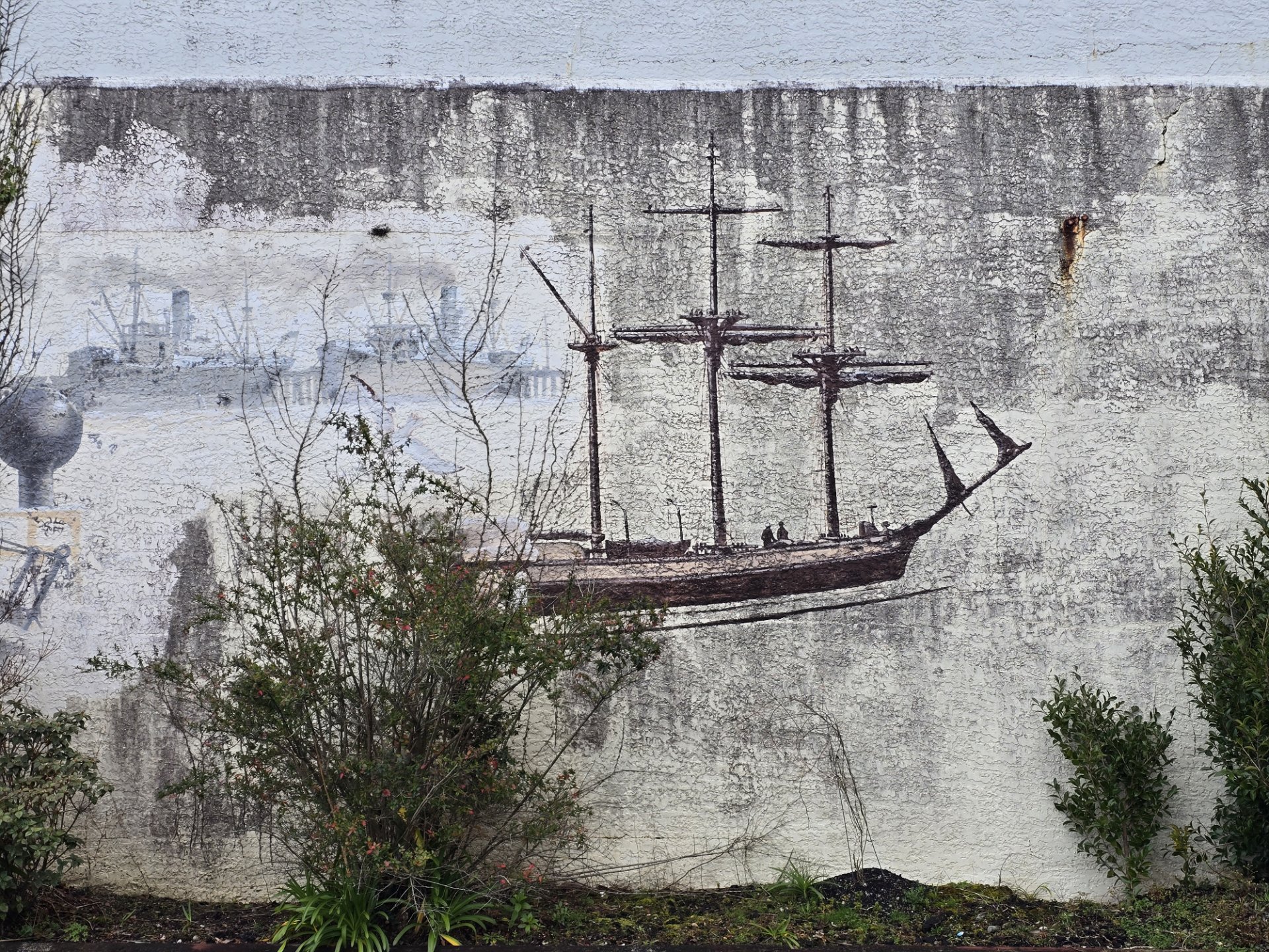 Found in Greymouth | CCC'S Street Art Contest #290 🇳🇿