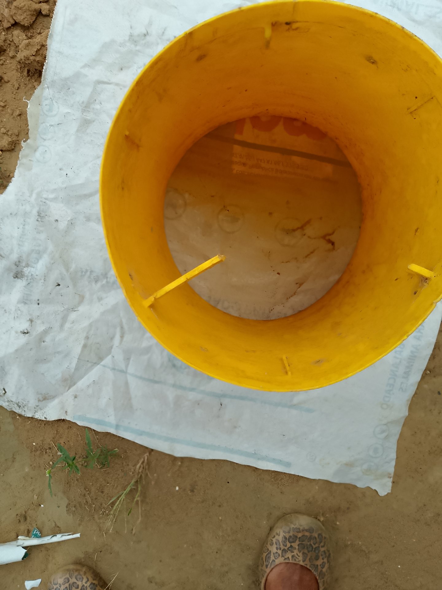 Maceta de Cemento| Cement Planter