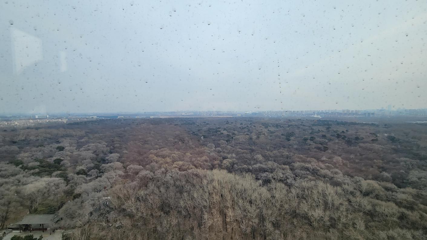 带儿子去存压岁钱