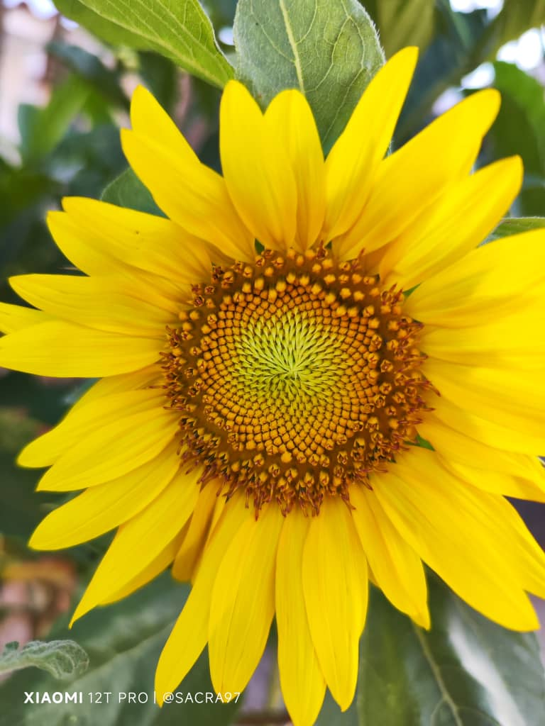 Un mundo mejor/A better world - LOH #278 [ES/EN]