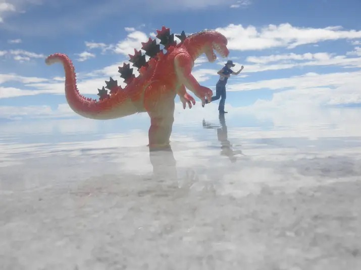 Why I Would Not Travel Across My Own Country