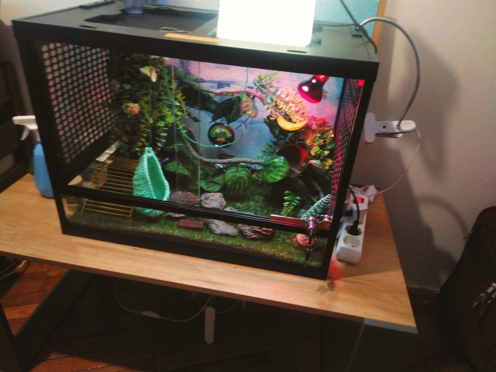 А хто, хто в рукавичці живе?