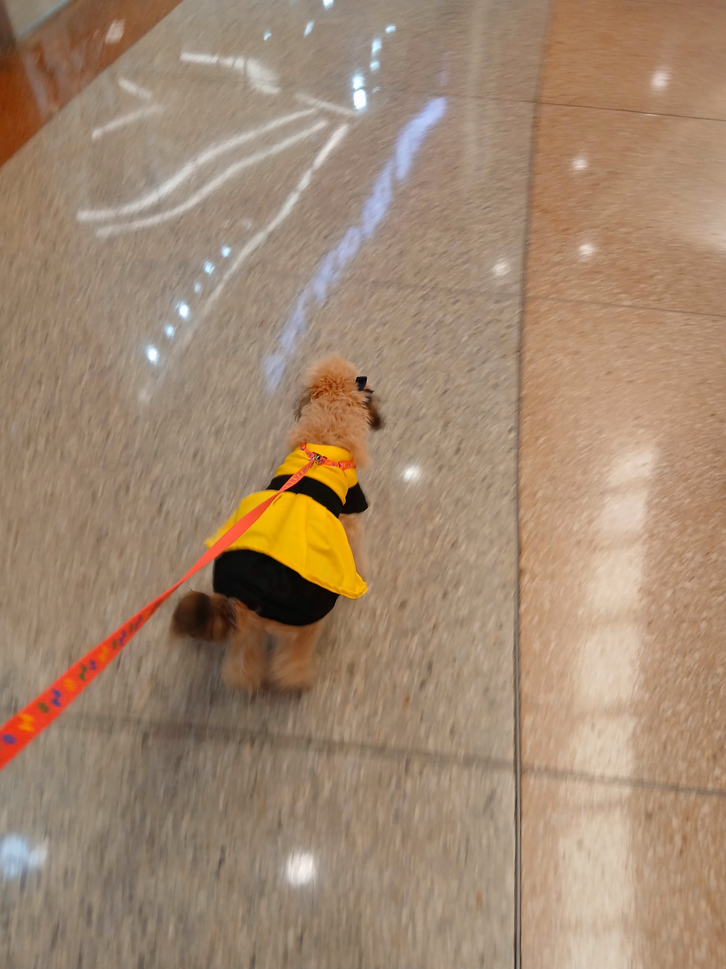 Paseito por el Sambil Margarita [Esp/Eng]