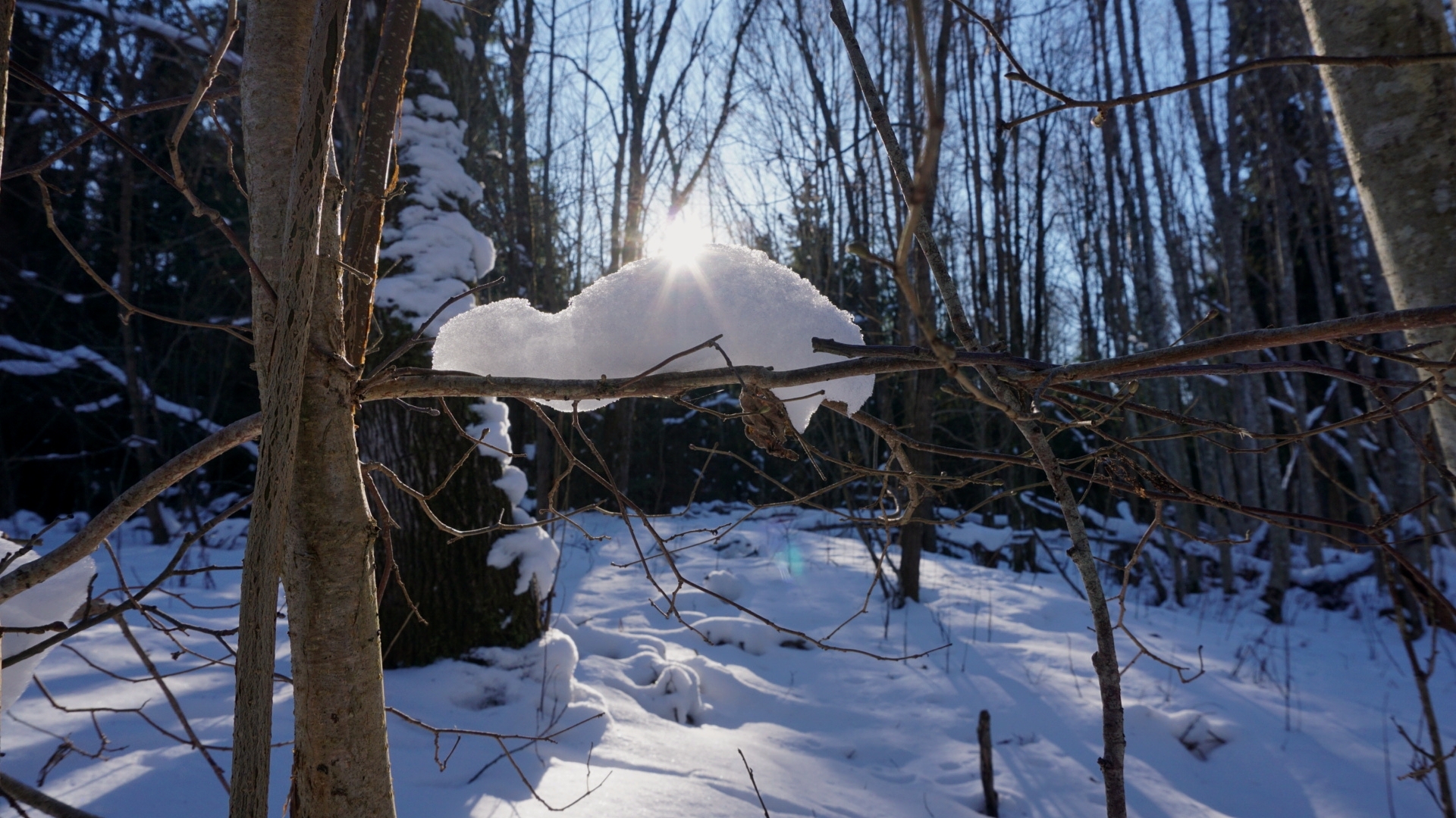 thank god -9 is back 😆👌👌 