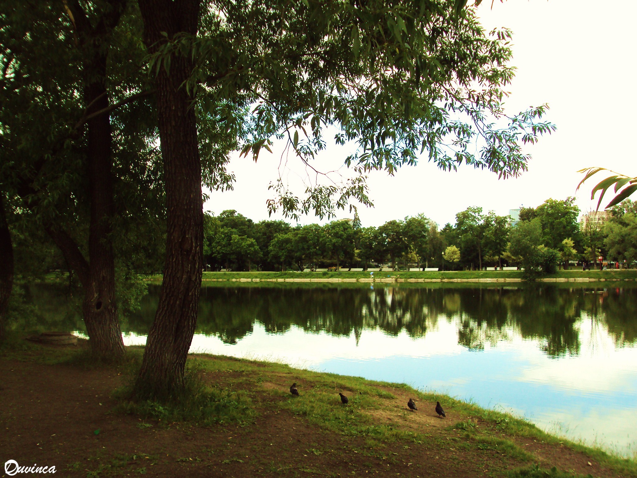 It's March! So More Thoughts and the HPUD!