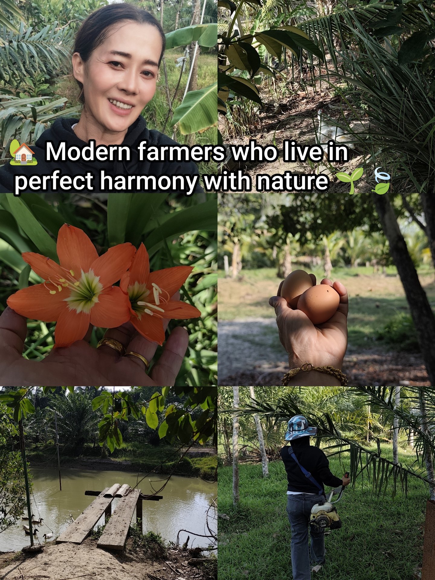  ☀️ Mission to Conquer the Weeds at Anatta Garden: When the Gardener Almost Became Fertilizer 🙏🏻