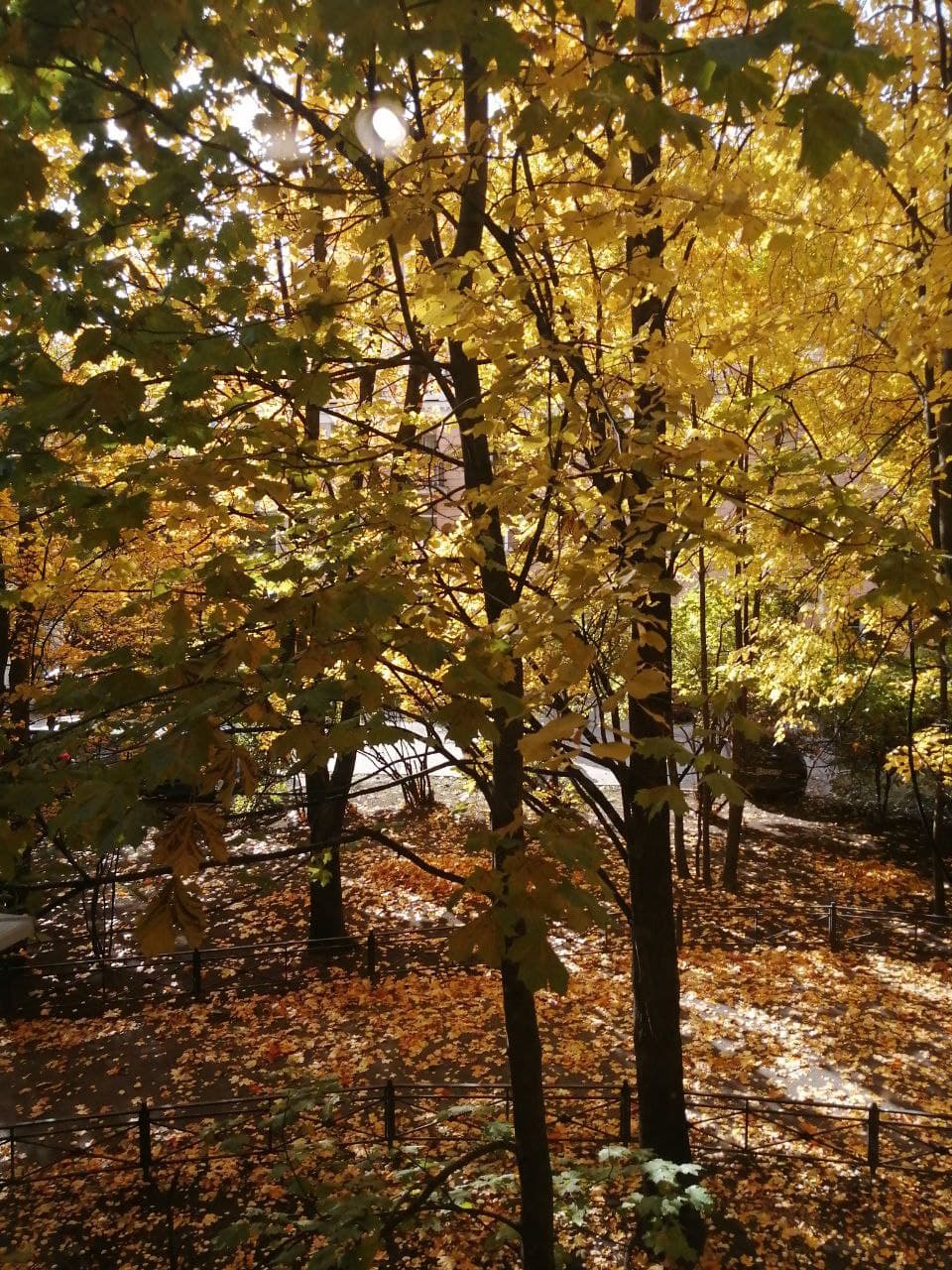 Вид из окна, цвета Санкт-Петербурга и немного магии