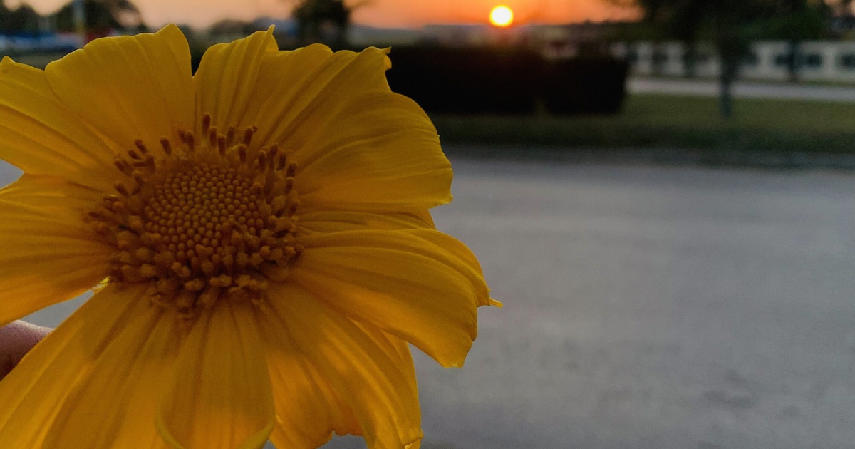 Where I always start again [ENG] [ESP] 