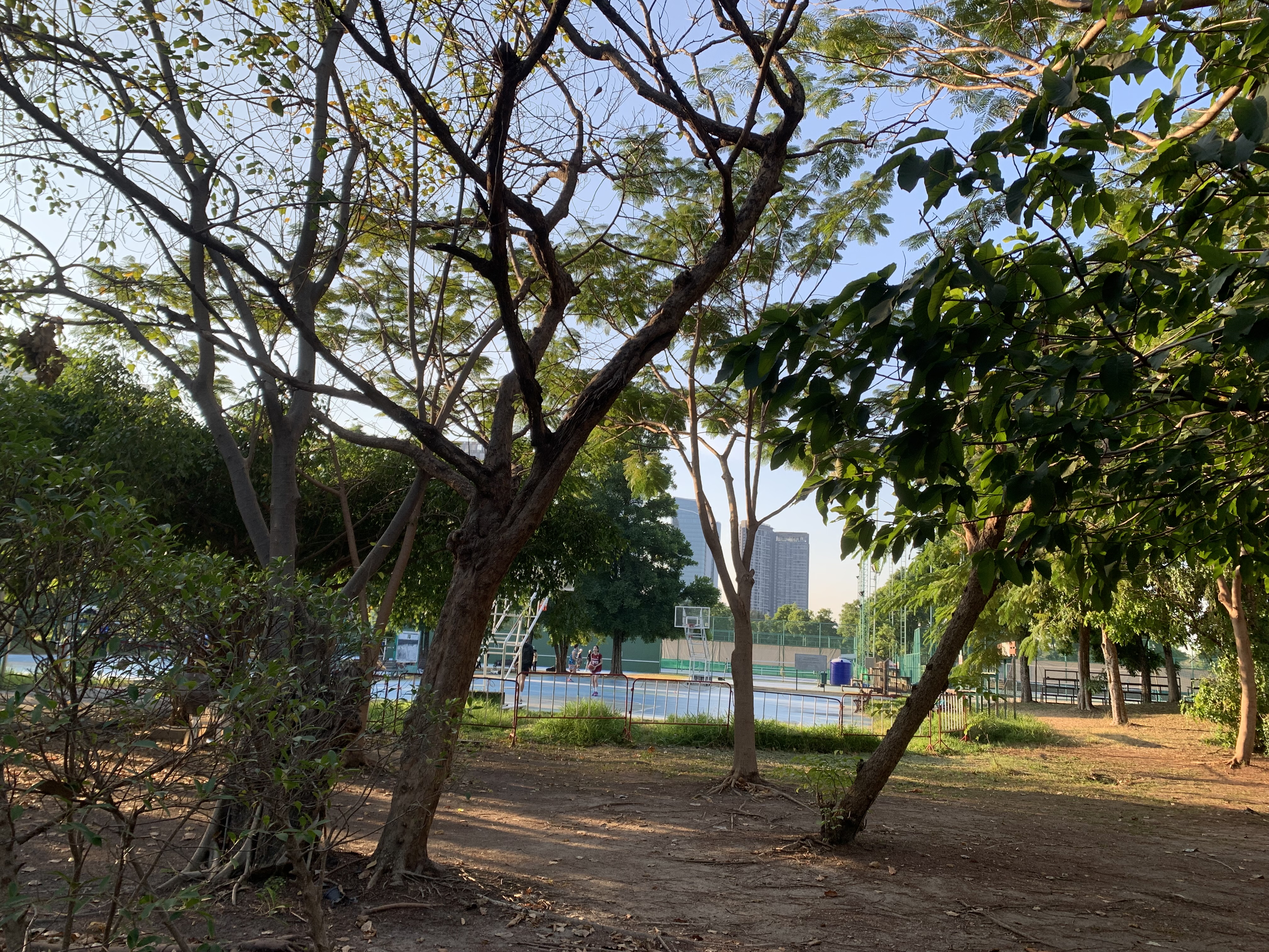 Suan Rot Fai (Wachirabenjathat Park), a wonderful public park for everyone