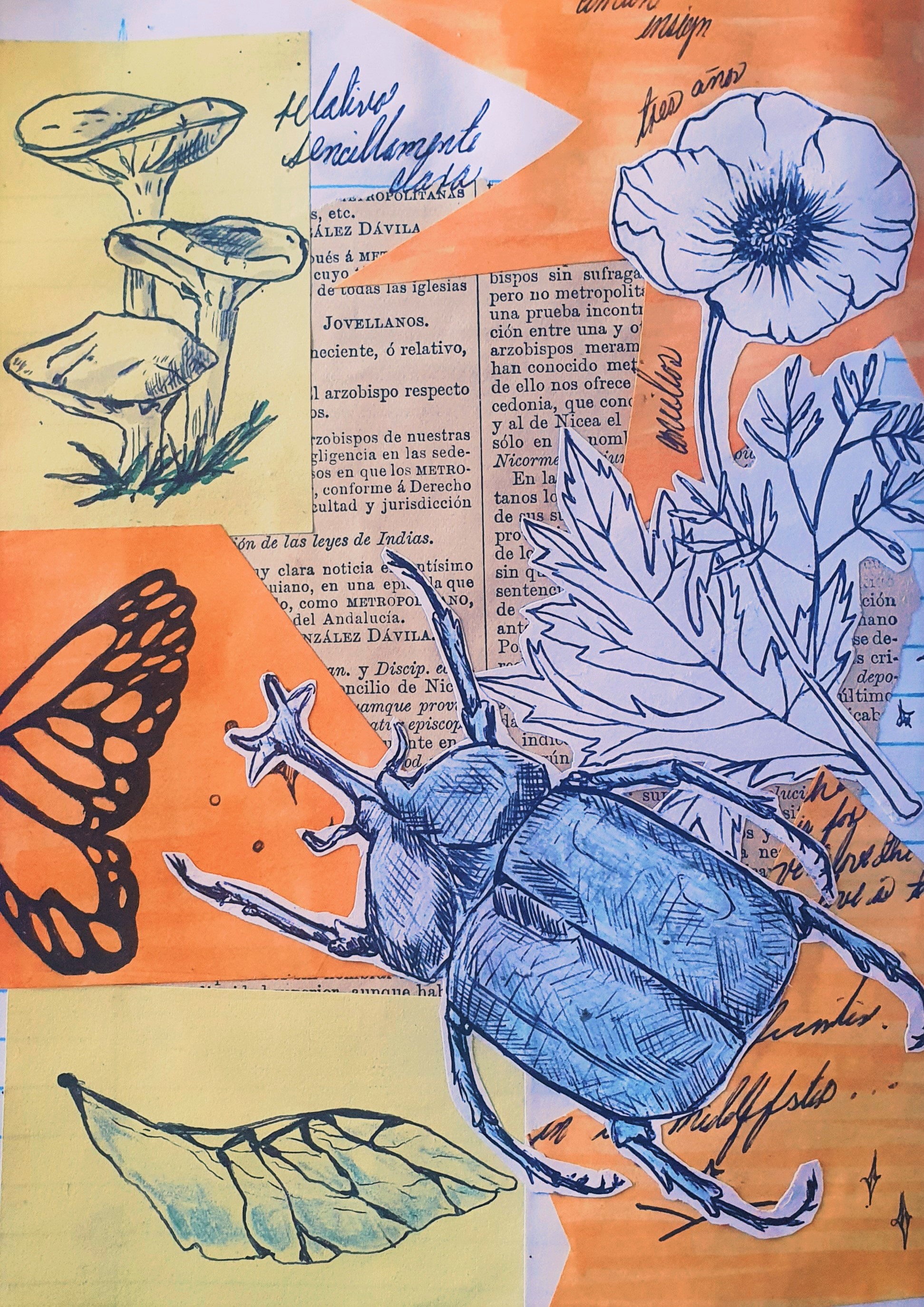[EN/ES] 🪲🌹Beetle and Flower Collage 🪲[BUGS 27/28]