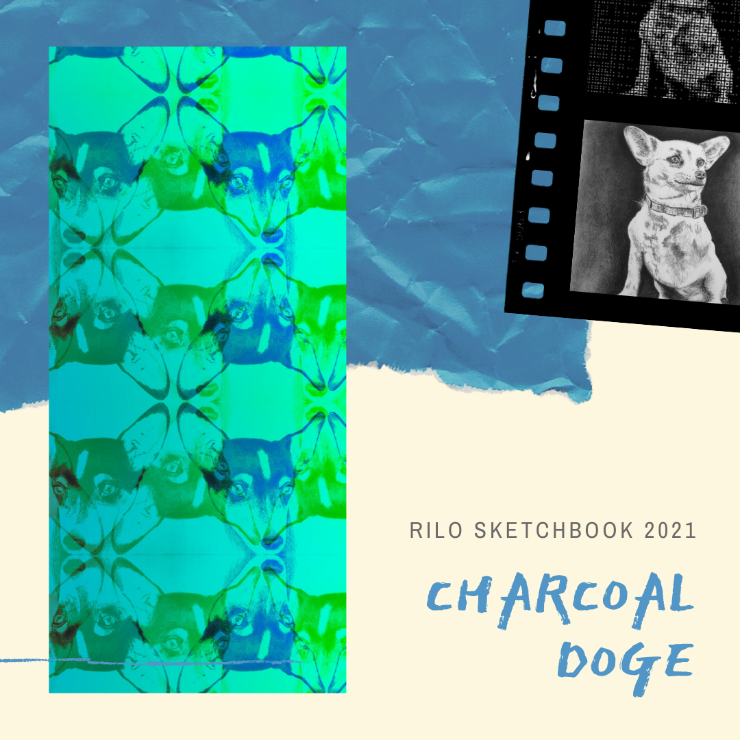 @rilo/charcoal-doge-commission-w-fun