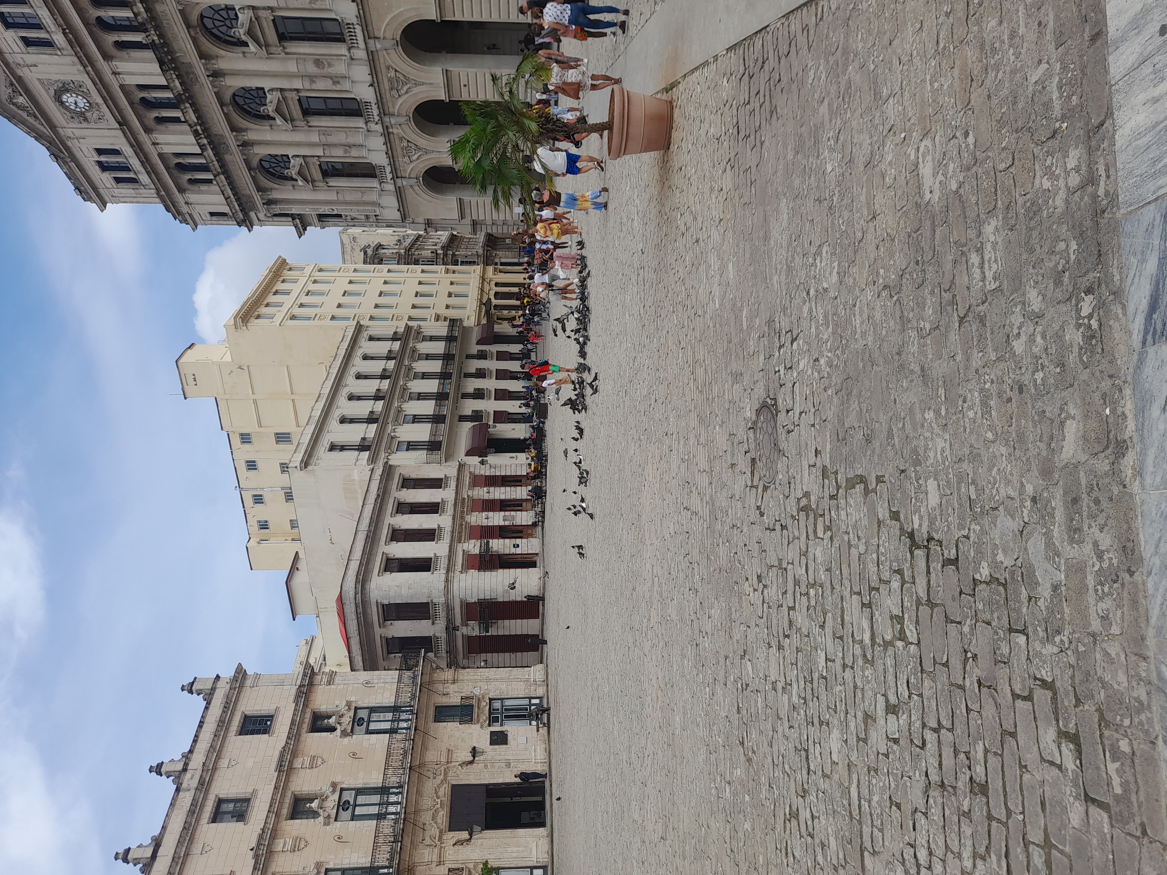 📸Photographs taken in the Plaza de San Francisco de Asís / Fotografías tomadas en la Plaza de San Francisco de Asís (Eng/Esp)