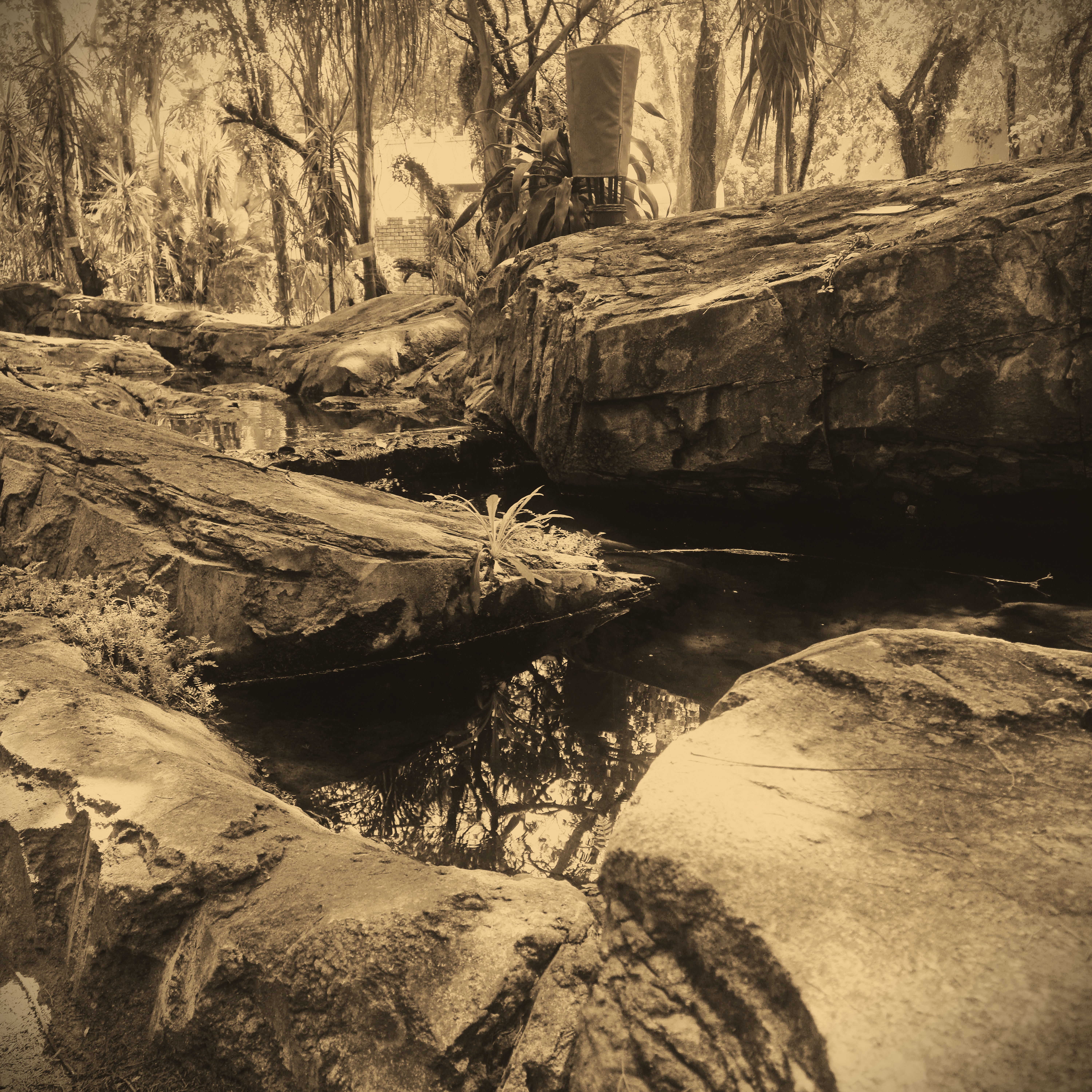 Snapshots - Mildly Moody Bridges