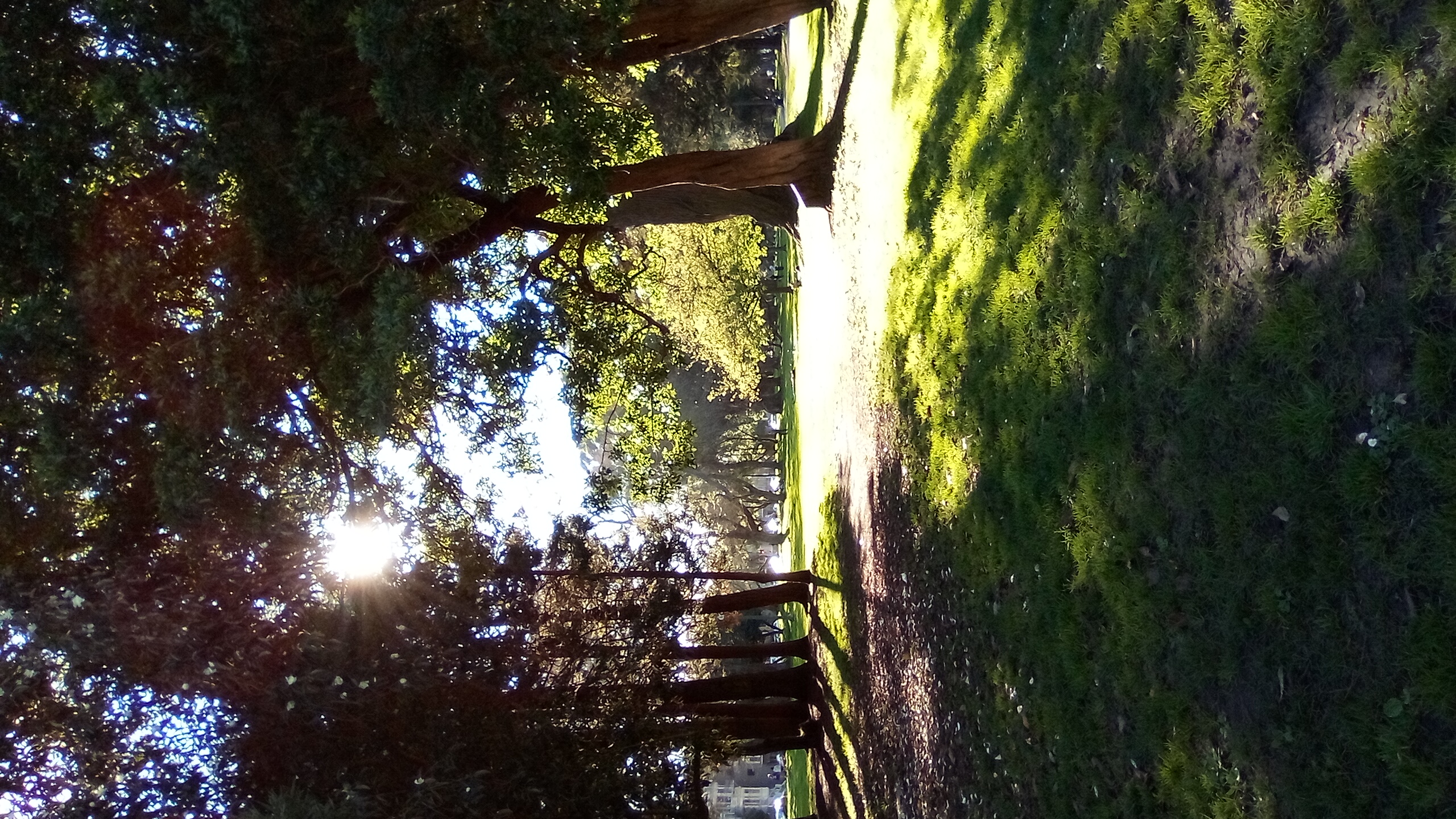 Just Enough Time For Bortkiewicz, the Shakers, Near Meadows, Coffee, and a Big Realization