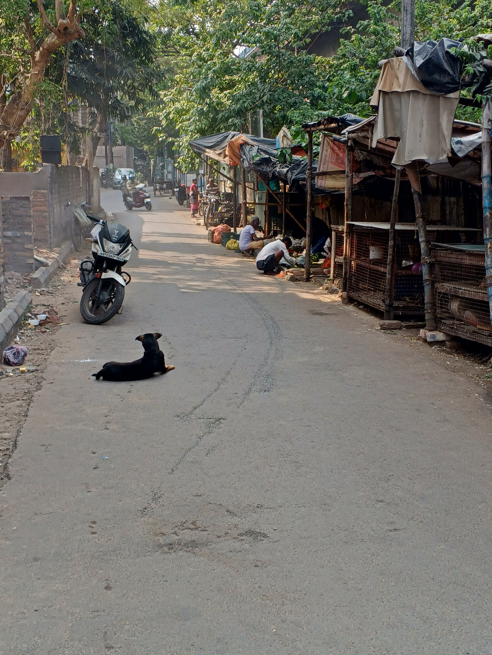 PhotoFeed Contest - Street Photography Round 160