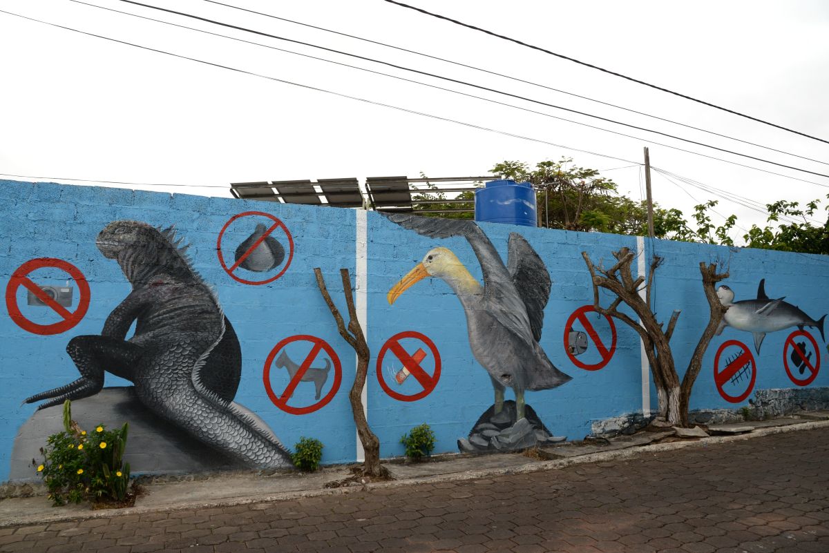 STREET ART #242 – Puerto Ayora does have quite a lot of street art