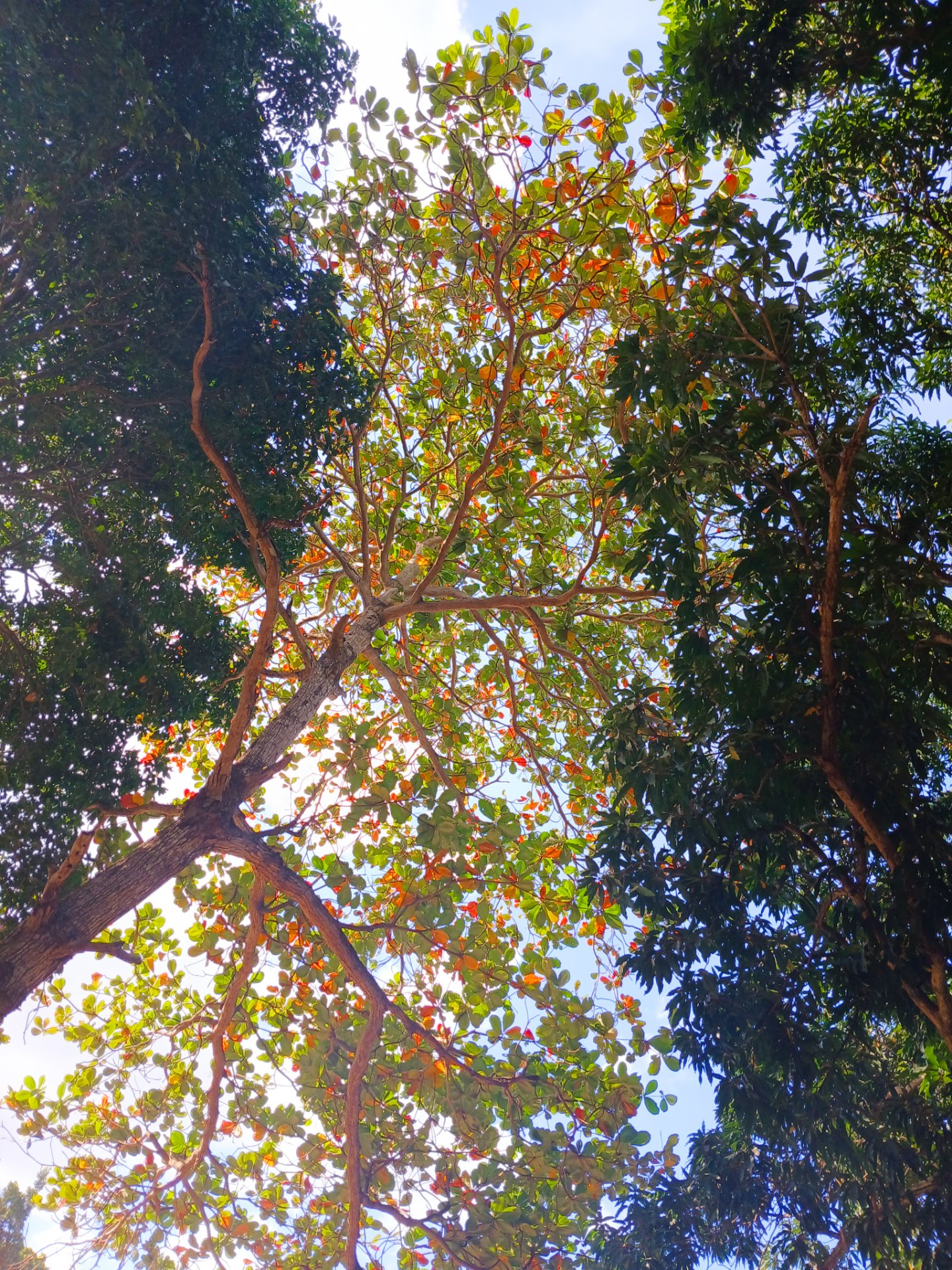 Weekend in the countryside