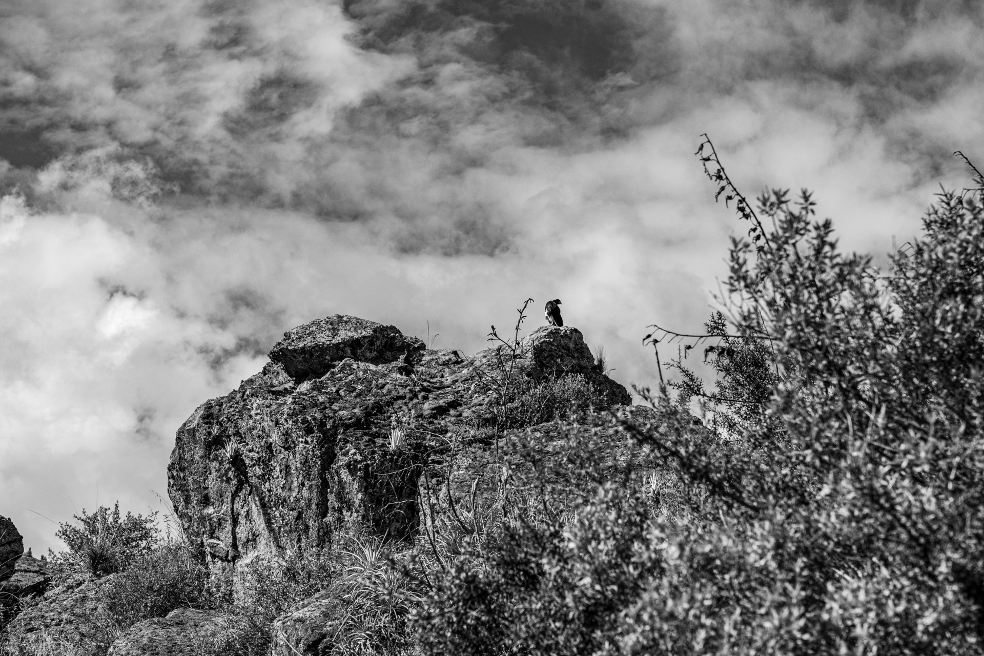 Pisac: Solitude and Andean Art / Pisac: Soledad y Arte Andino [Eng-Esp]