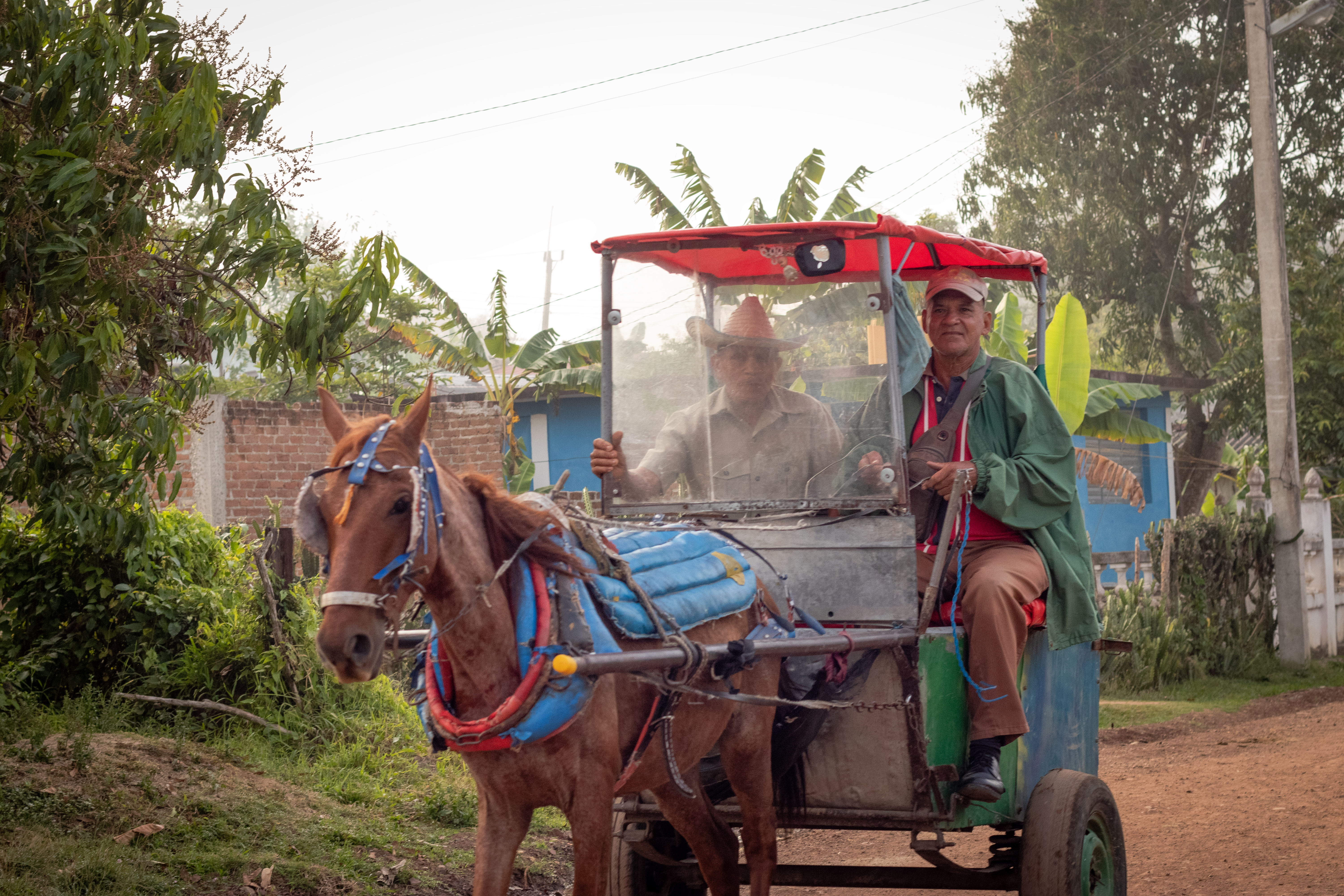 Los Hallazgos del Camino - Discoveries Along the Way [Esp - Eng]
