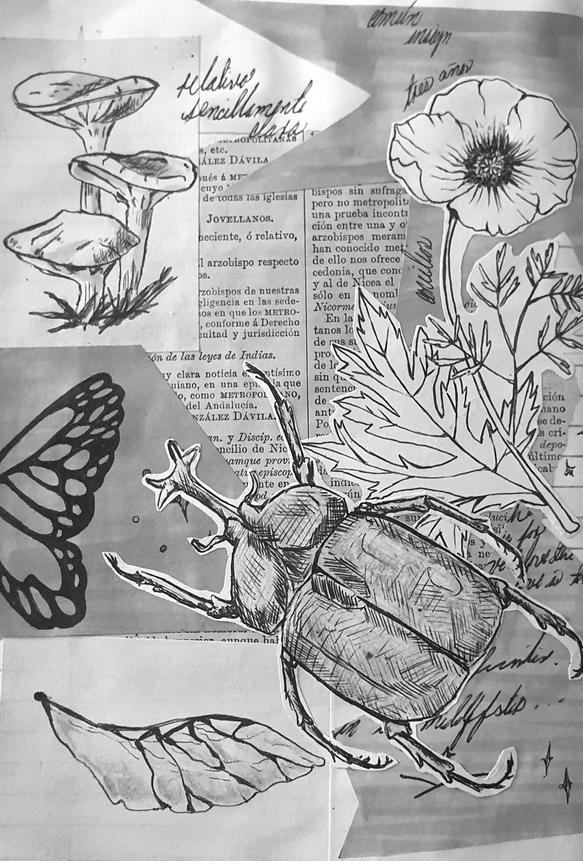 [EN/ES] 🪲🌹Beetle and Flower Collage 🪲[BUGS 27/28]