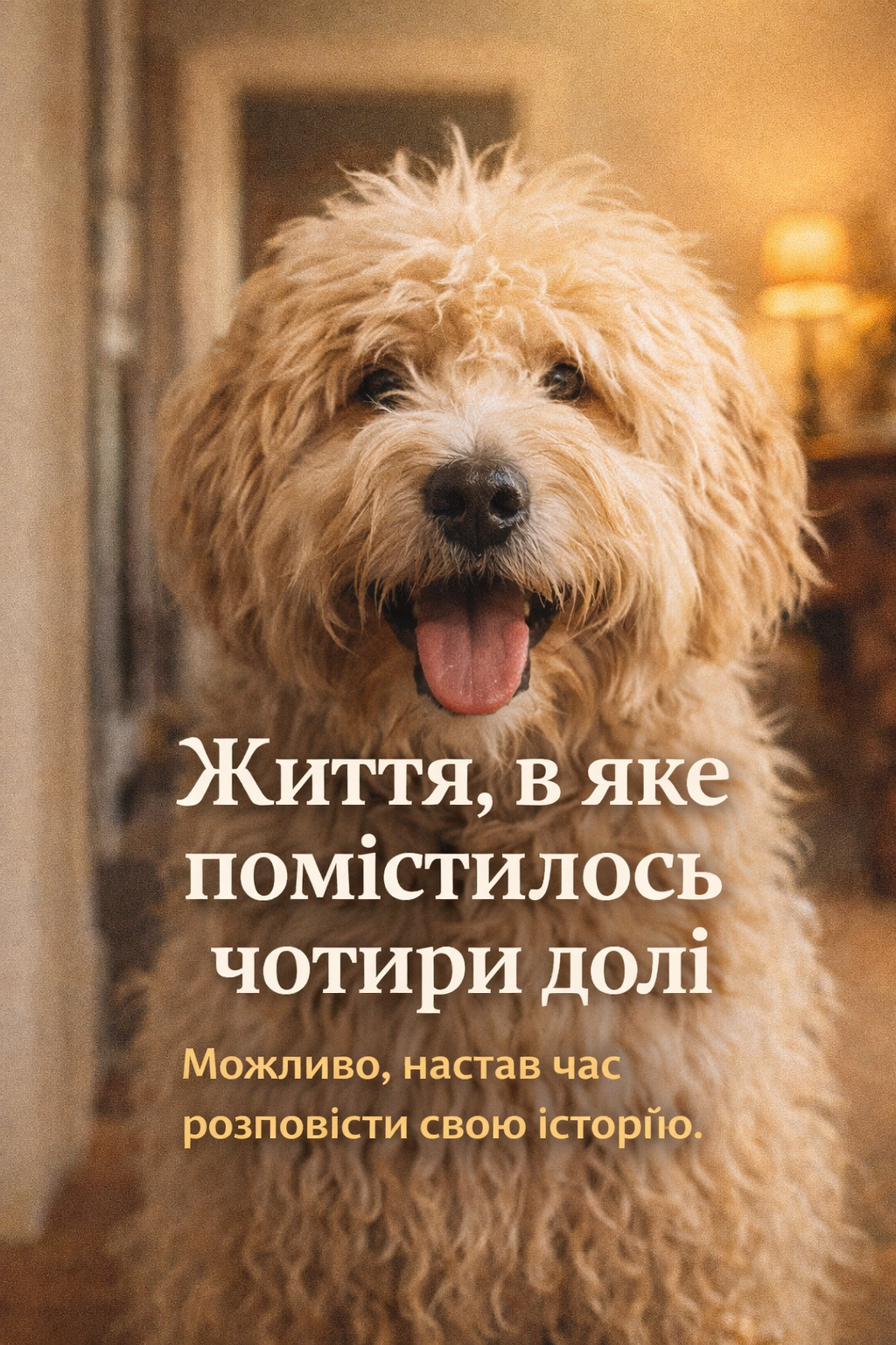 Інженер, таємна авторка Lady N і собака-конкурент: трохи про моє життя