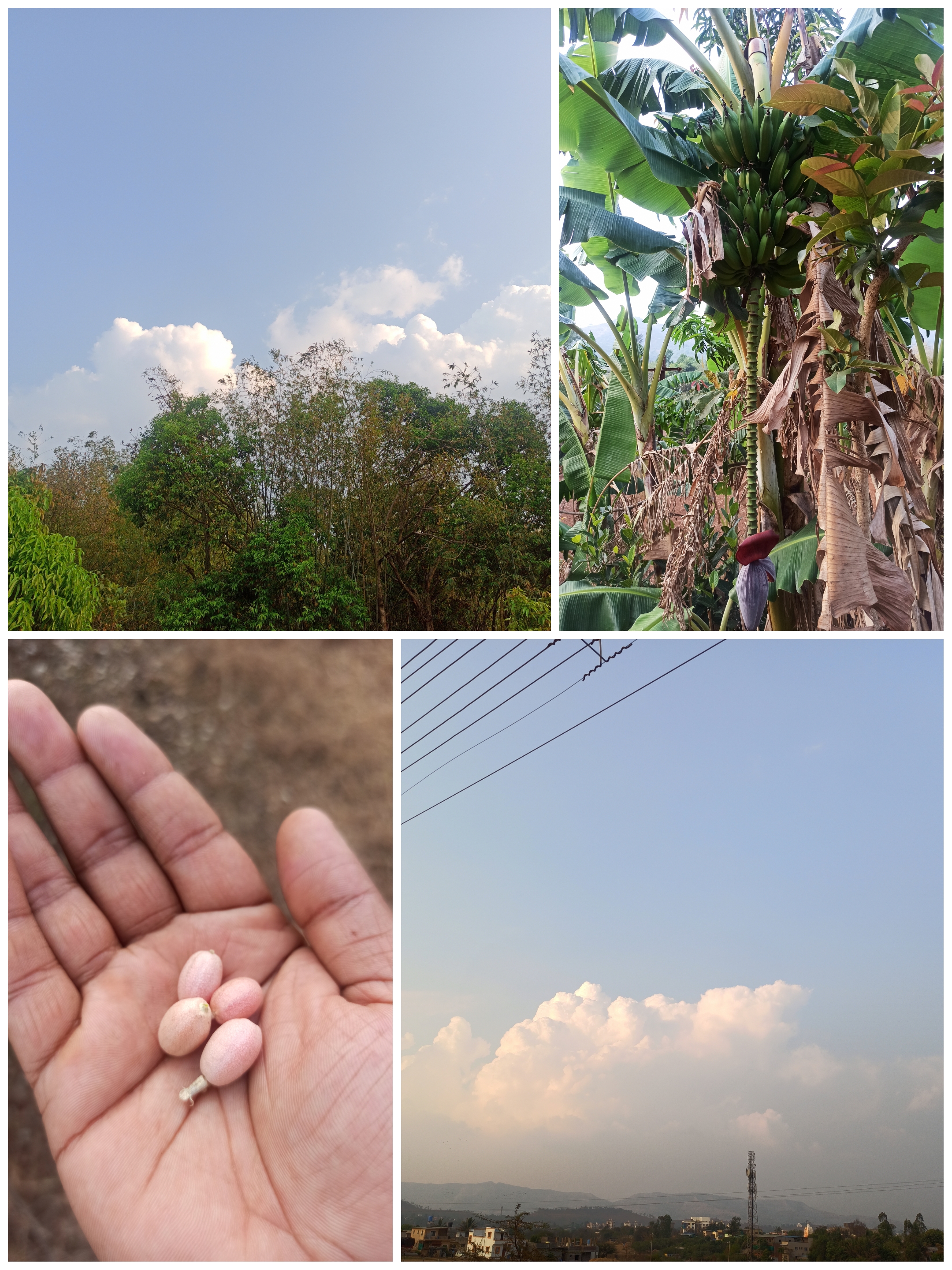 Today I and my friend went to a beautiful location in the village of Hirdoshi