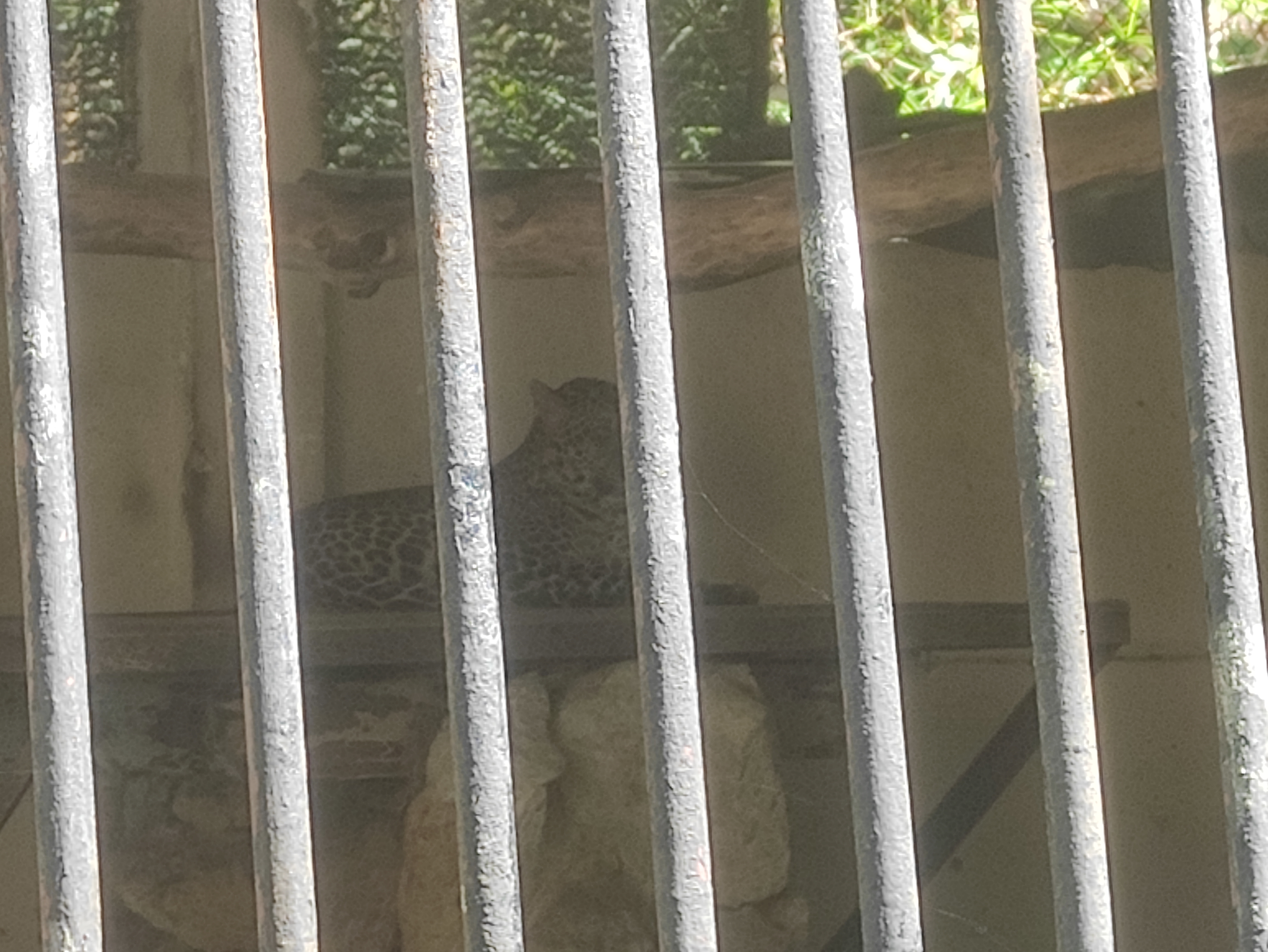 Family Short Trip To ZOO