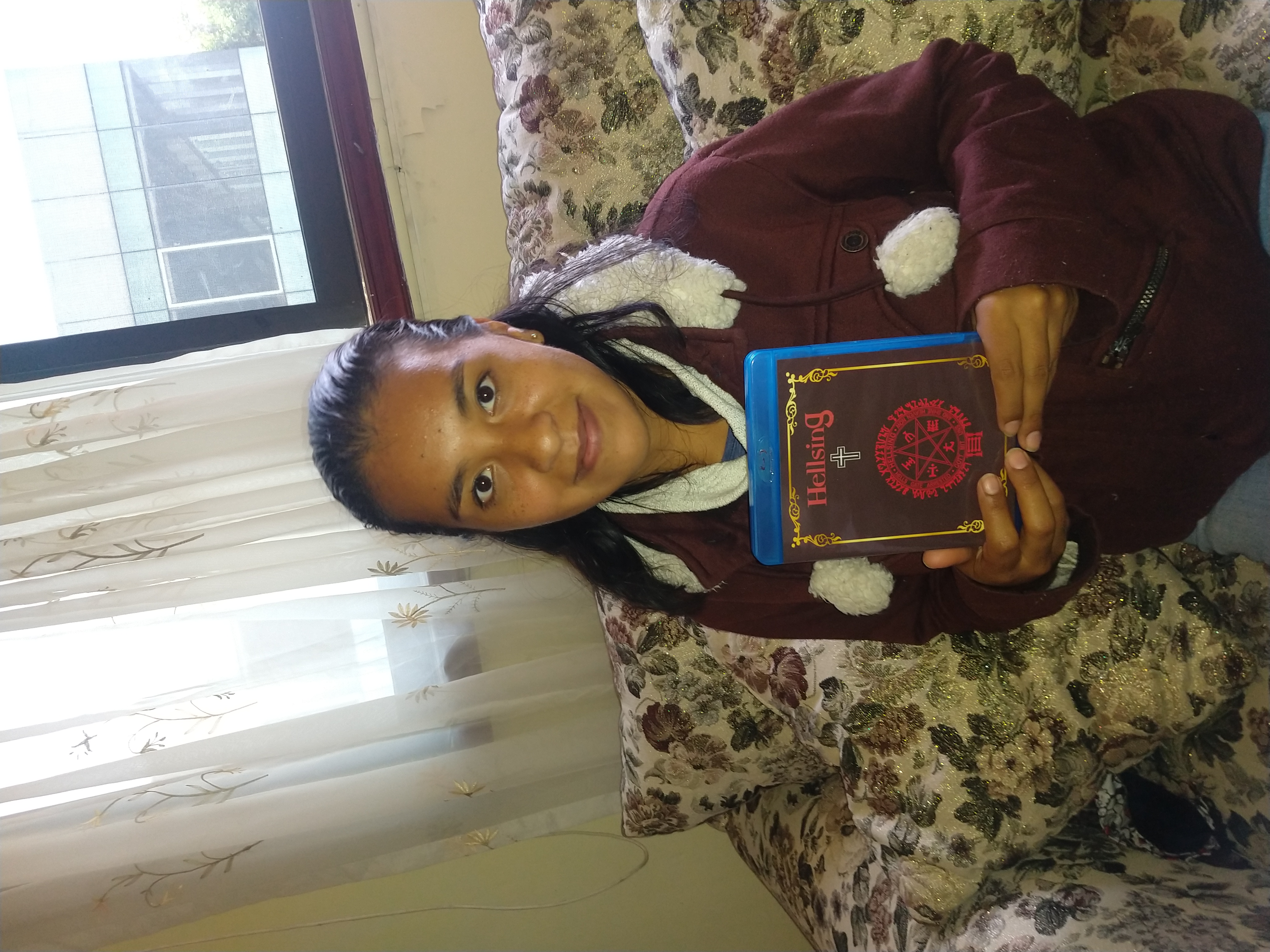 datos anime hellsing