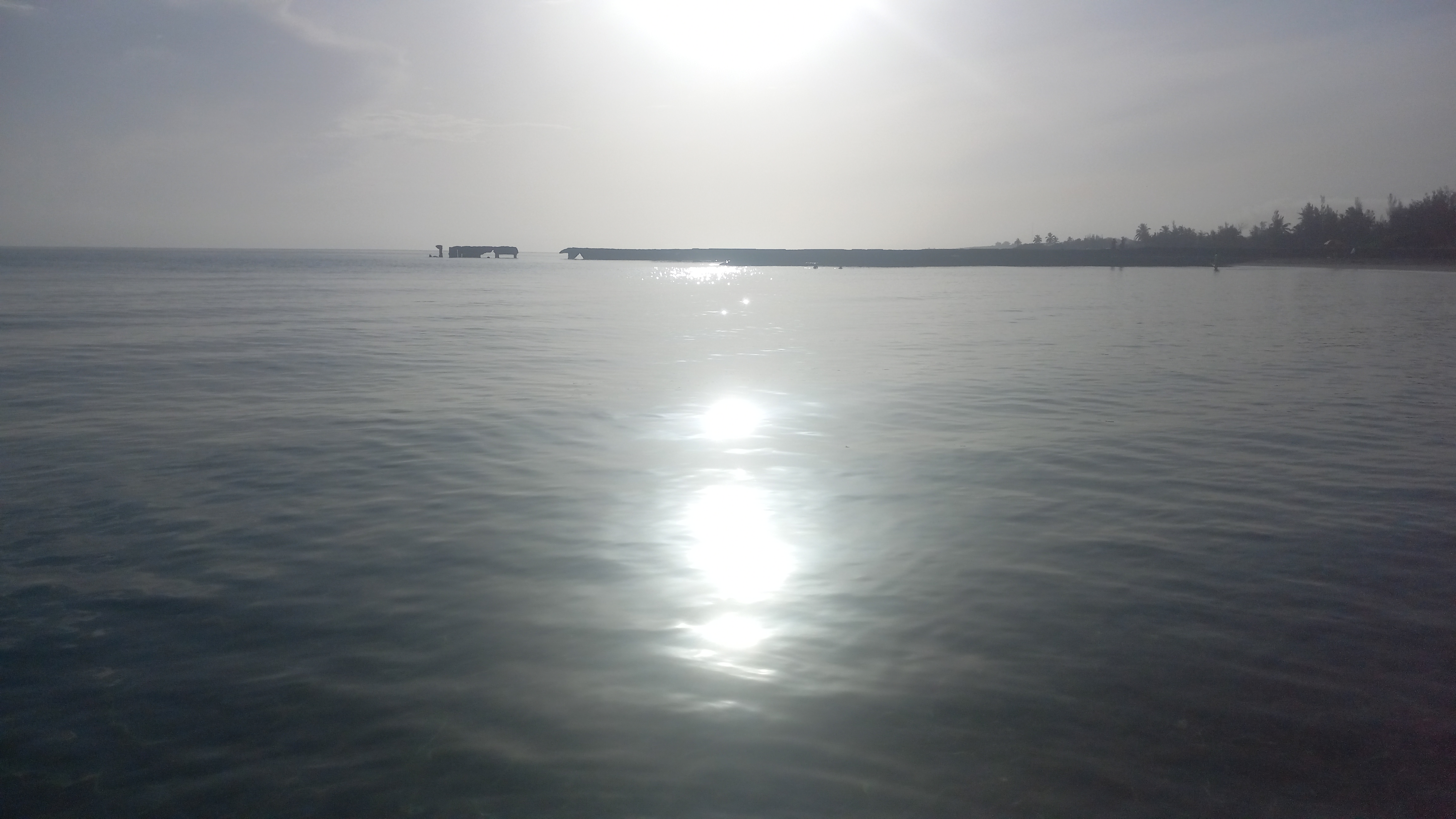 Nature/Naturaleza [Eng/Esp]