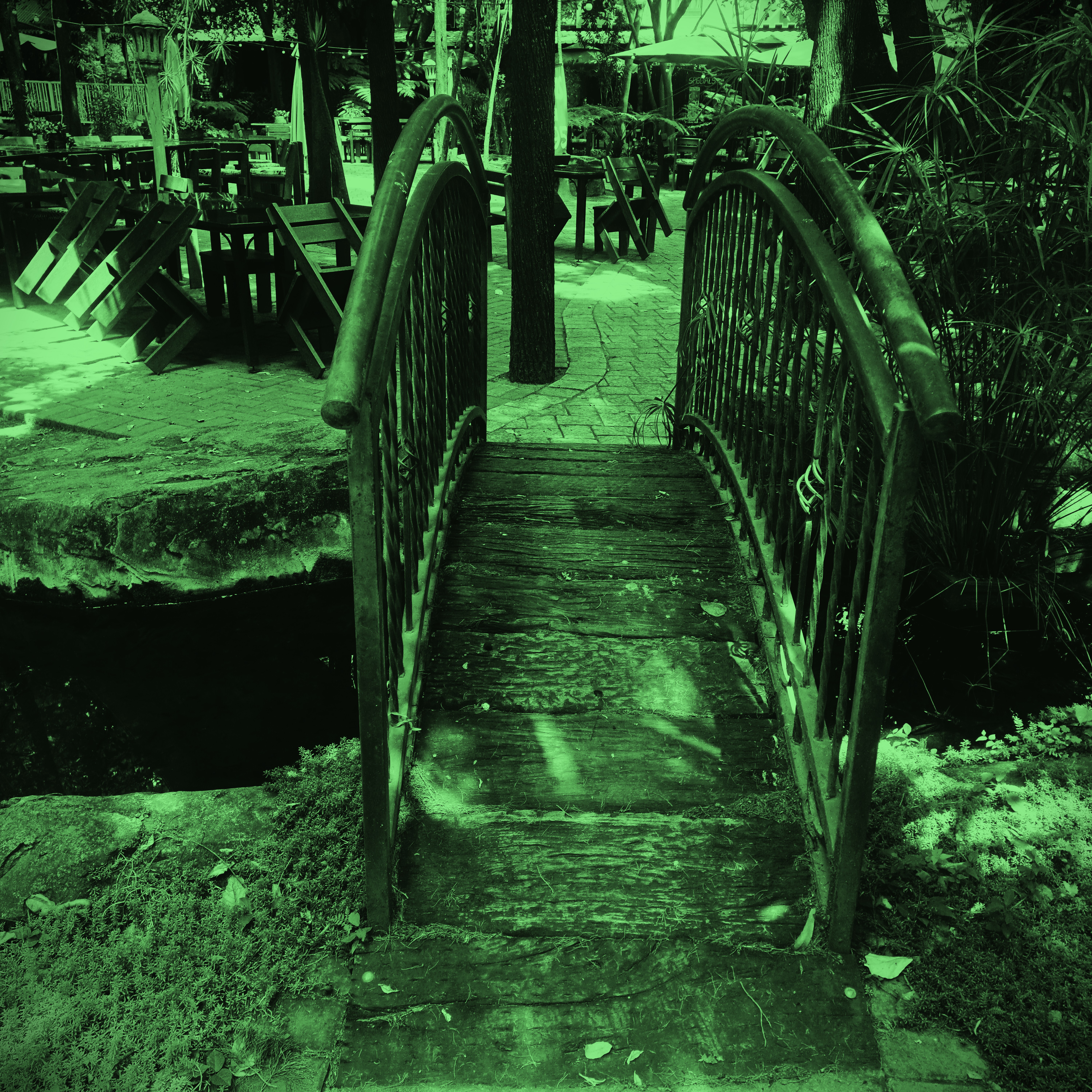 Snapshots - Mildly Moody Bridges