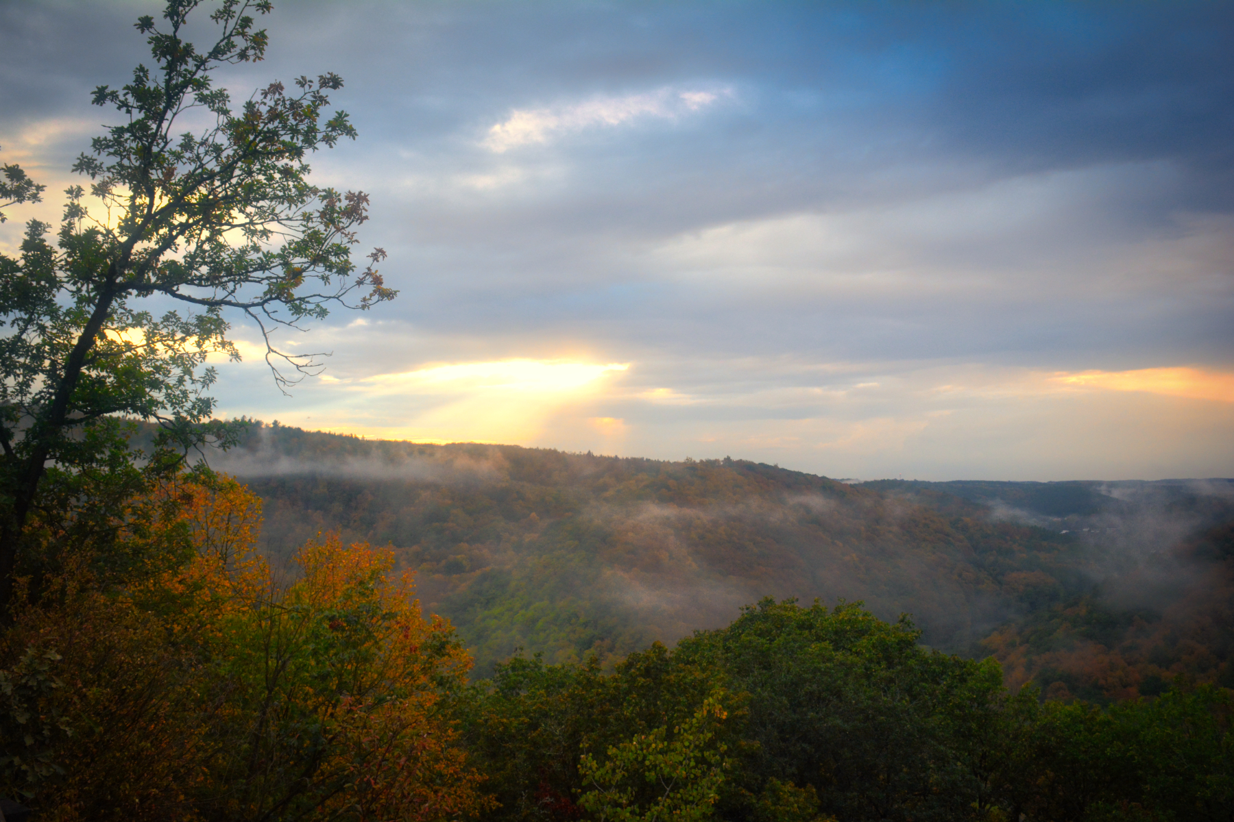 Autumn in the Dyje Valley (Moravia, Czechia)