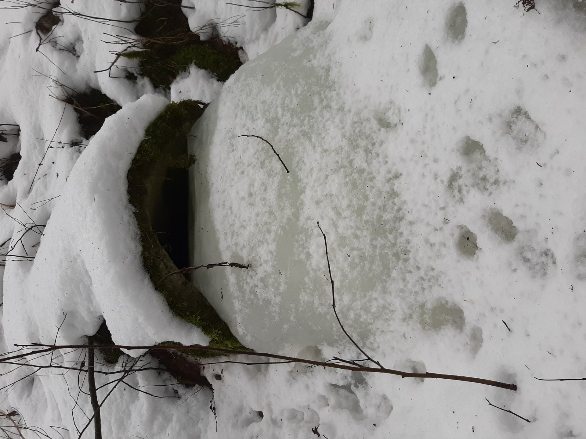 The mud season started quickly