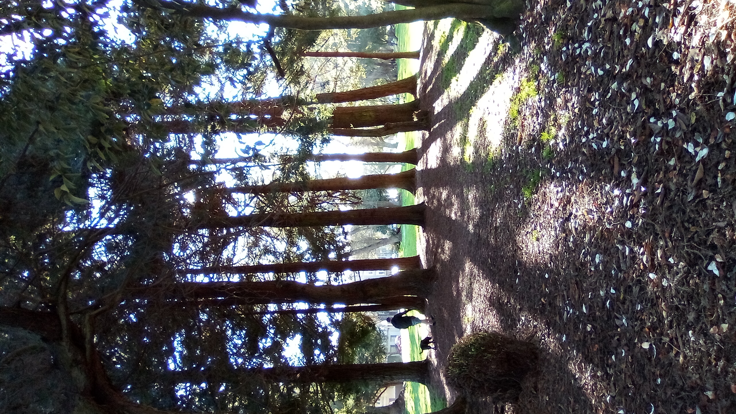 Just Enough Time For Bortkiewicz, the Shakers, Near Meadows, Coffee, and a Big Realization