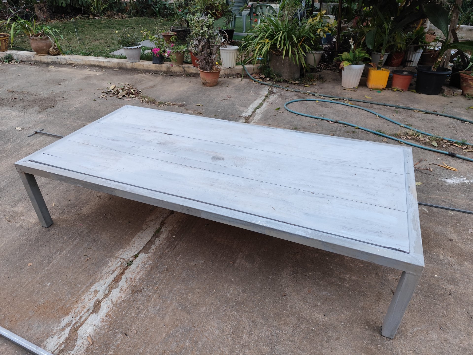 My Actifit Report Card: March 3 2026