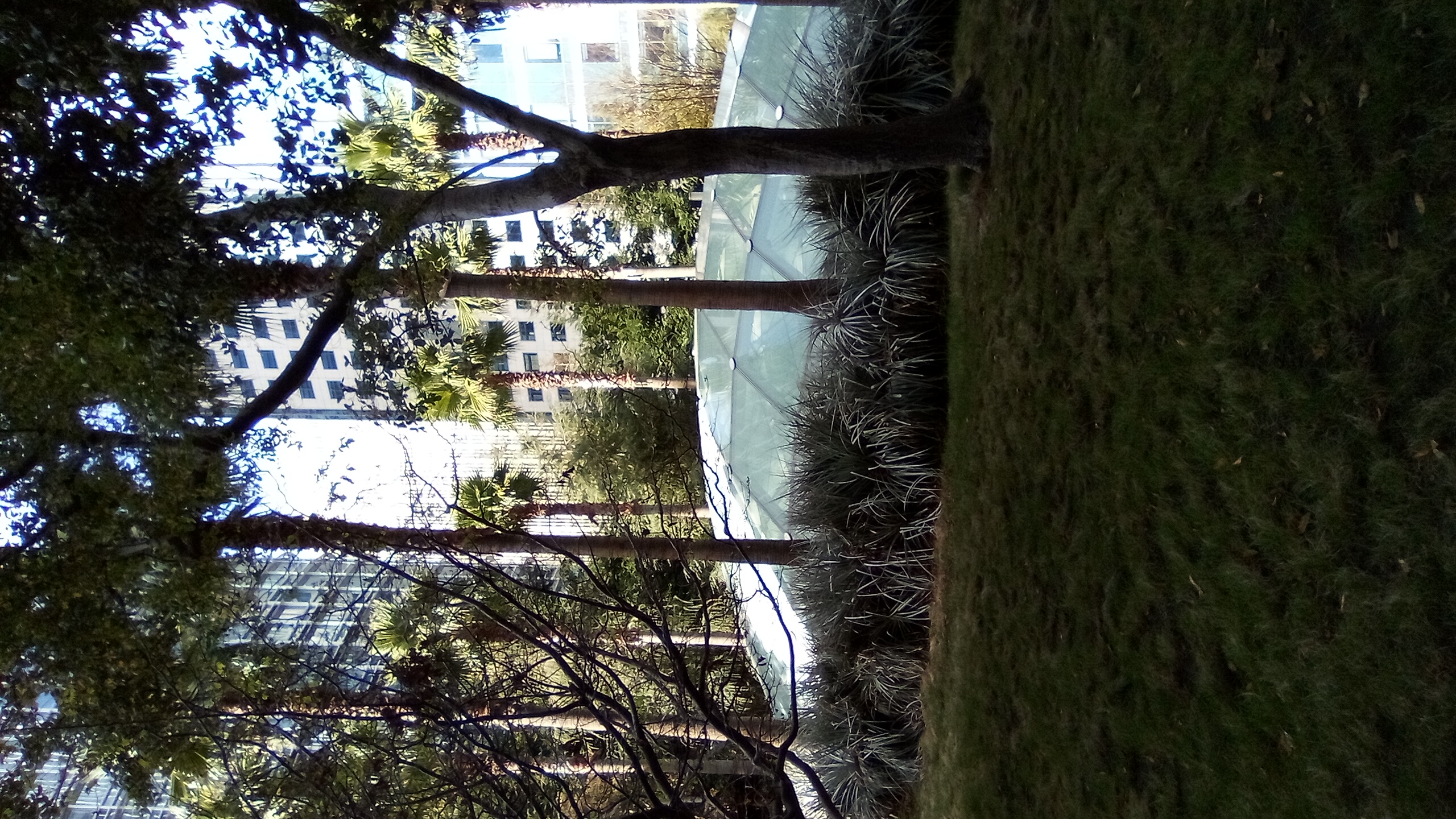 5 March 2026, Freewriters Community Daily Writing Prompt Day 3033: domination of a very tiny world