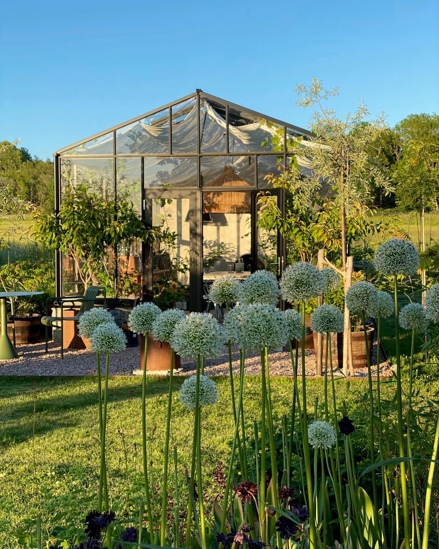 Serene surroundings, peaceful vibes!☘❤