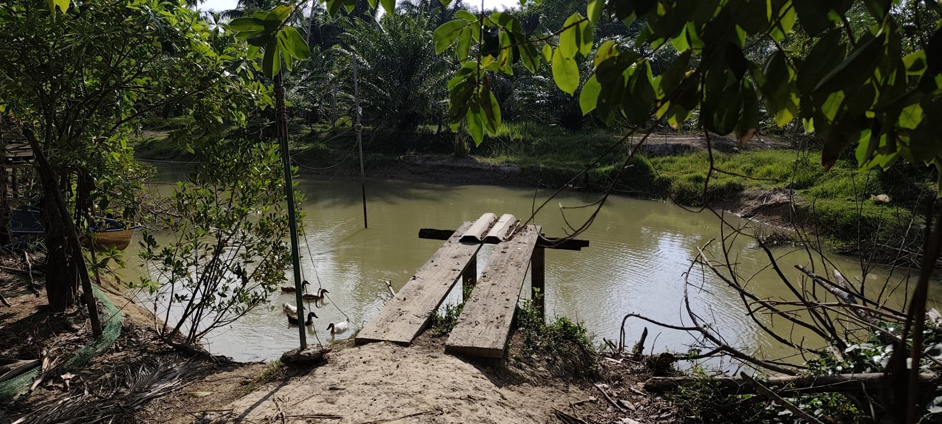  ☀️ Mission to Conquer the Weeds at Anatta Garden: When the Gardener Almost Became Fertilizer 🙏🏻