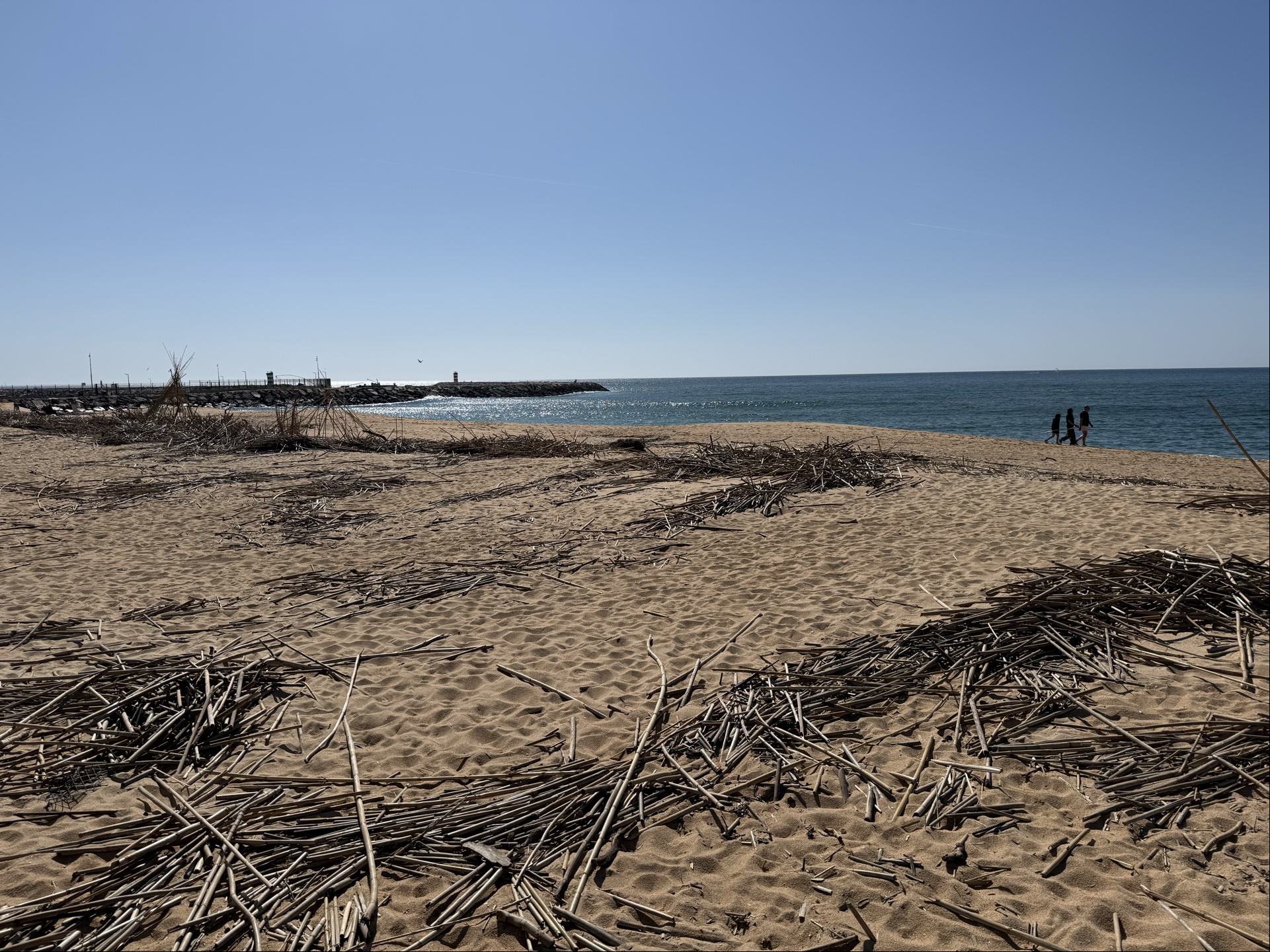 Ocean bringing stuff