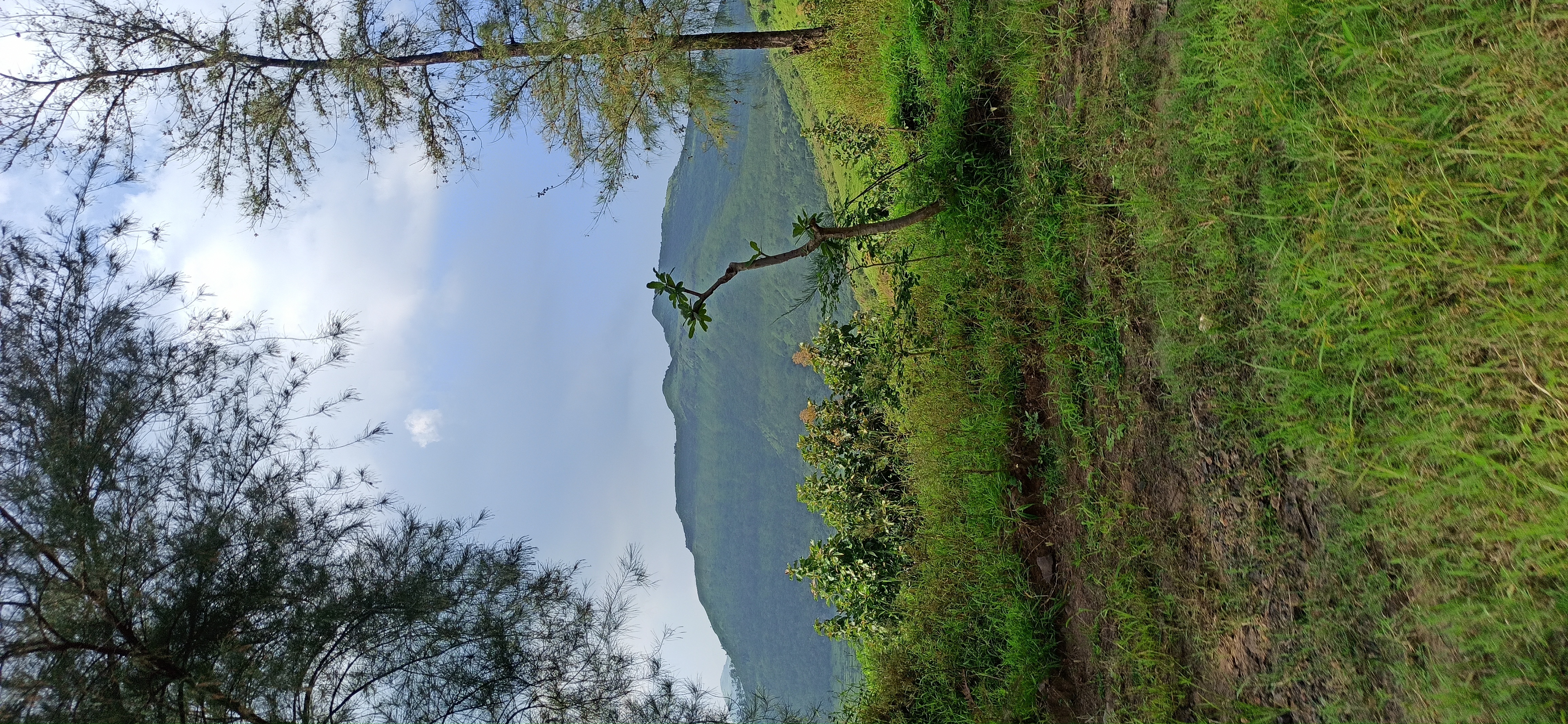 Travaing With My Friend go to His Village.