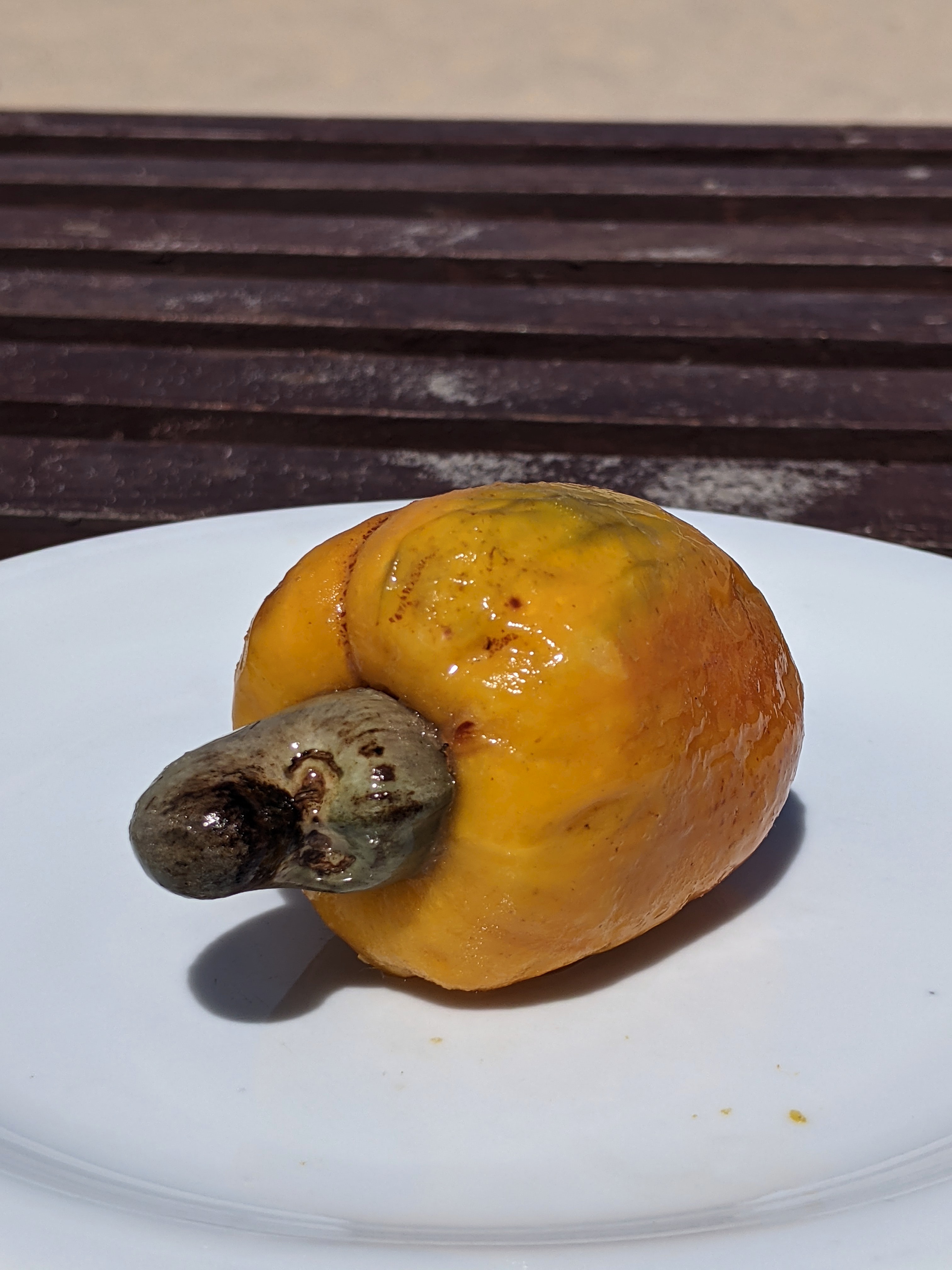 [eng/pt/es] Fortaleza, Brazil