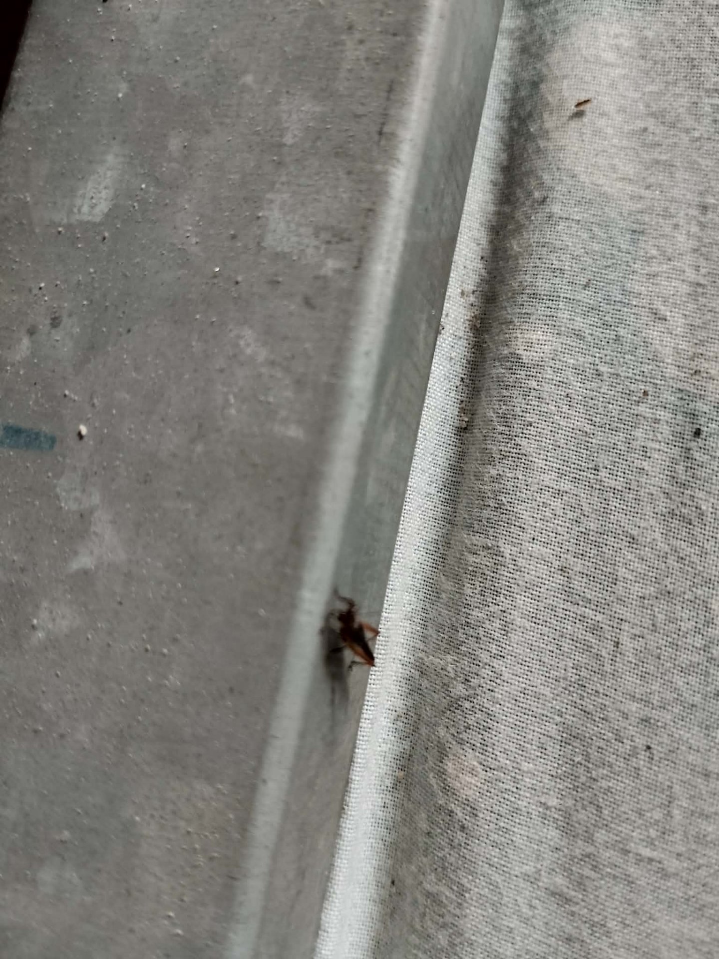 Entry For Shadow Hunters SMASh Contest 