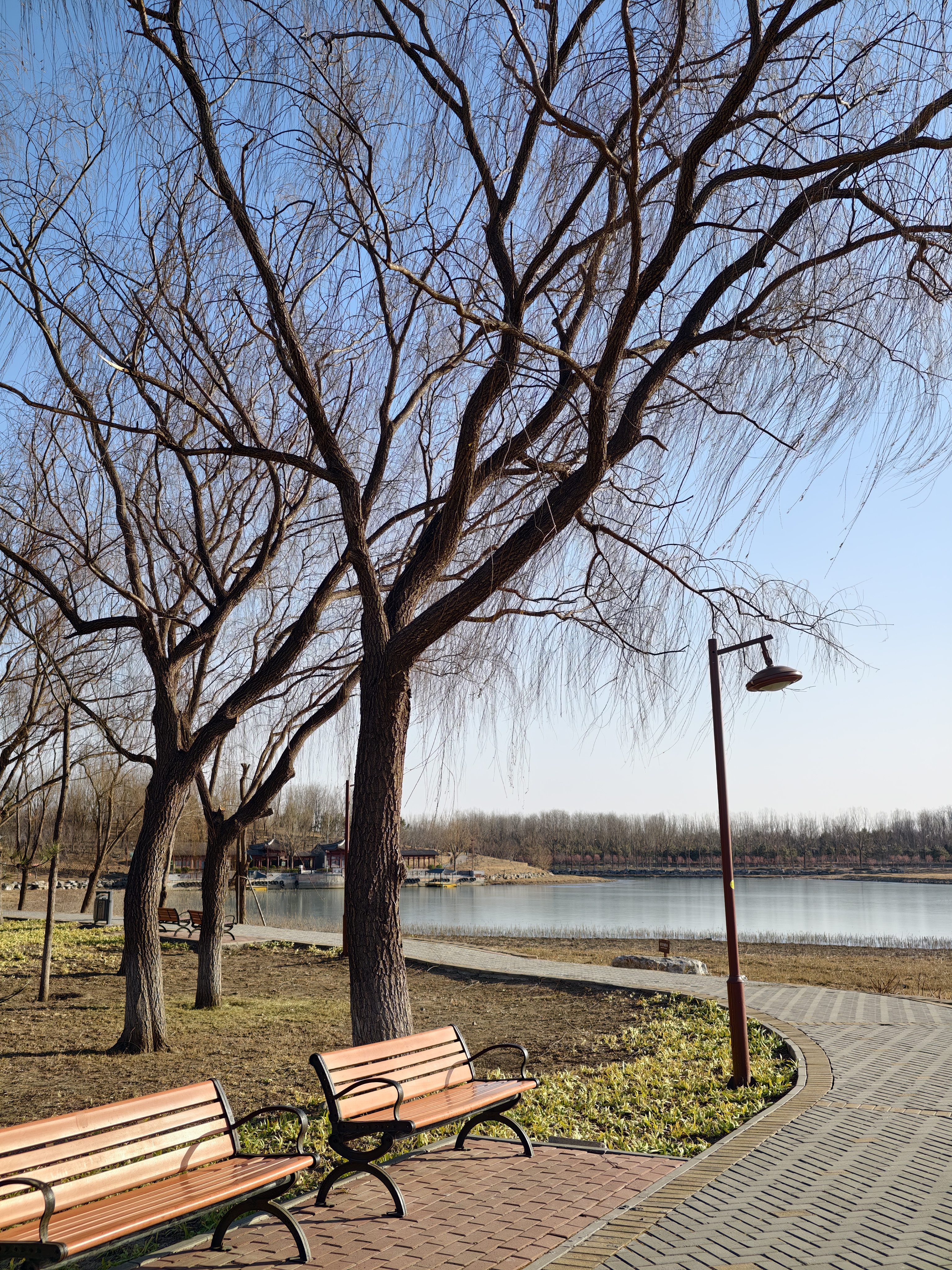 The Nature With Mono Color