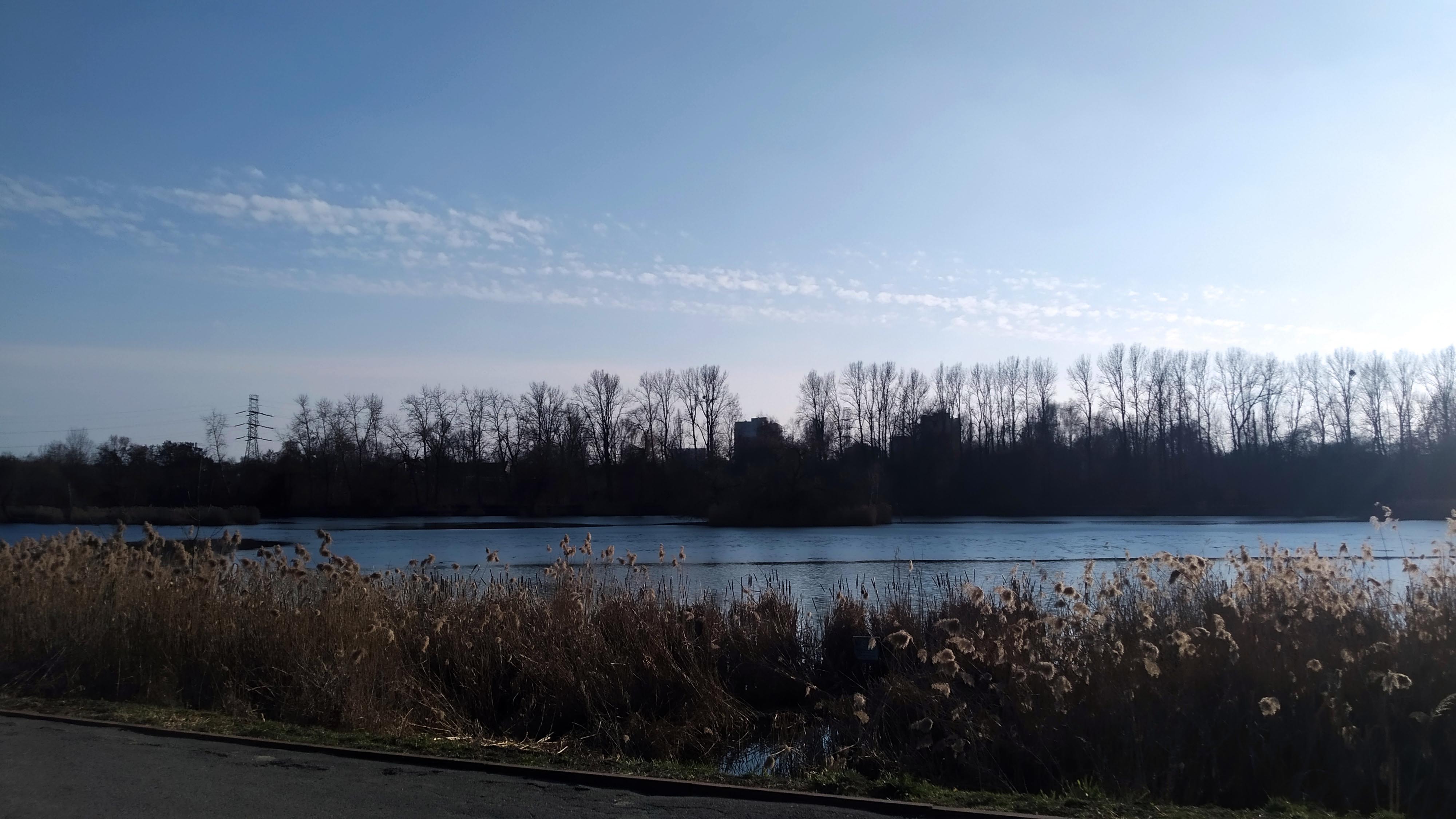 Kontynuacja wiosennej aury - My Actifit Report Card: March 4 2026