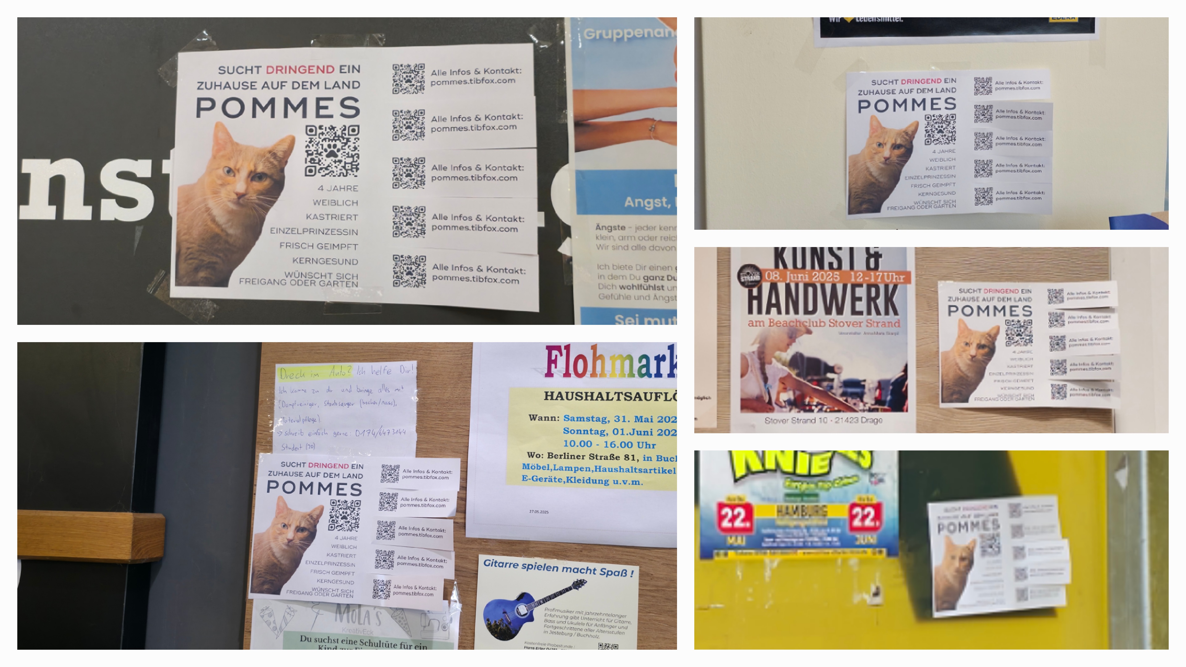 Story Time: Pommes the Claw 🐾, Edje in Hospital 🚐 & My Sunday "Marathon" 🪣