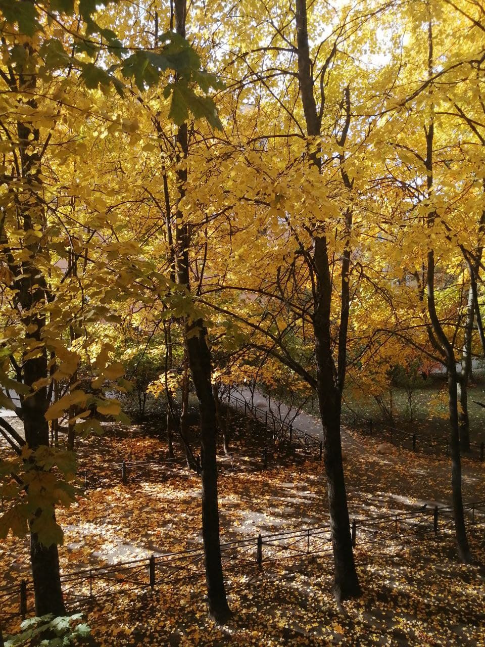 Вид из окна, цвета Санкт-Петербурга и немного магии