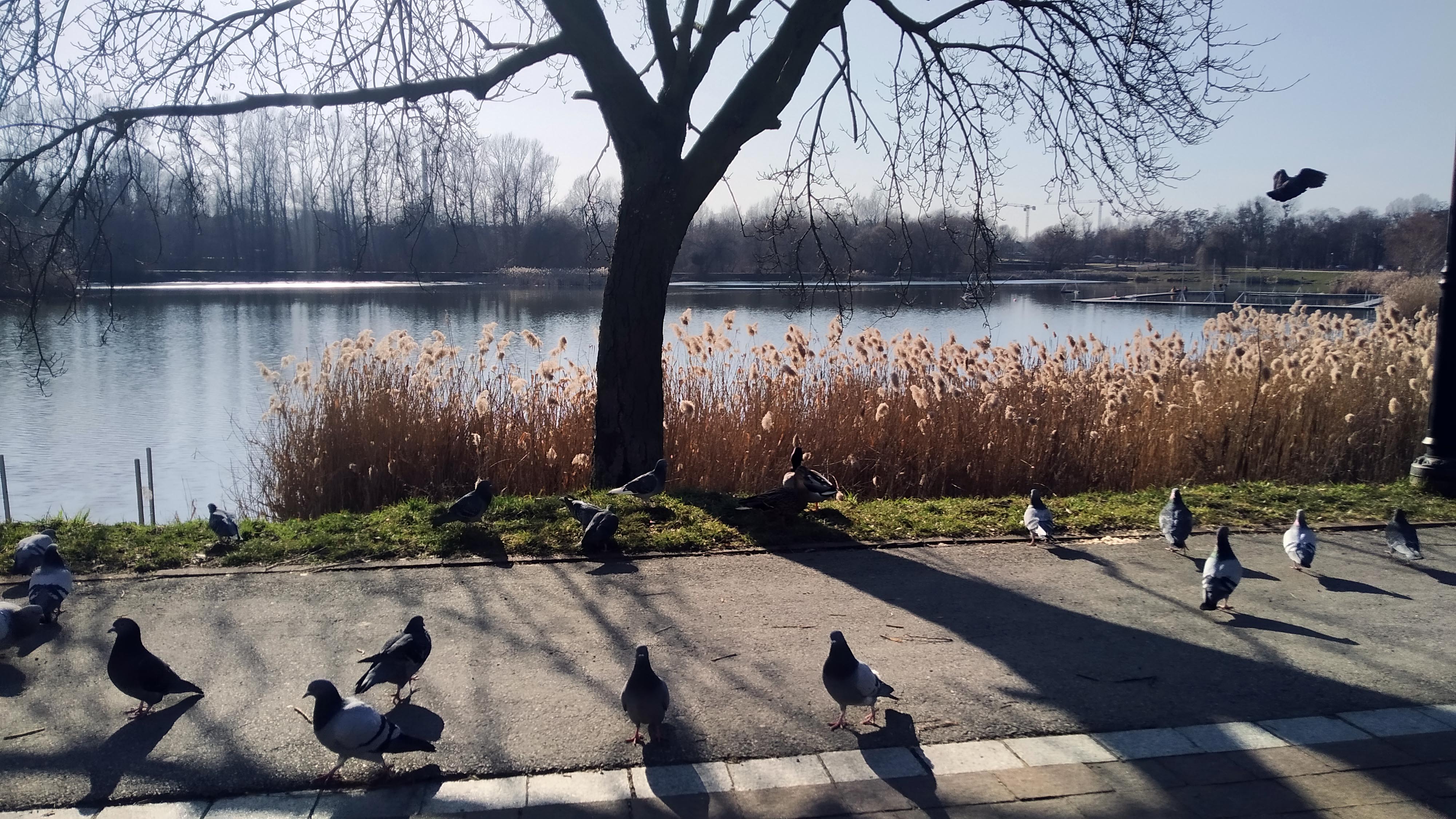 Wiosna nie odpuszcza, słonecznie i ciepło - My Actifit Report Card: March 5 2026